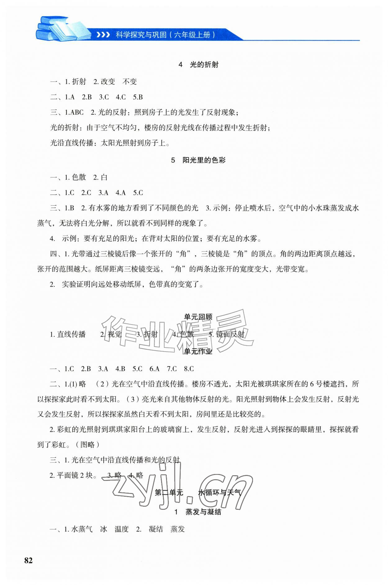 2026年科学探究与巩固六年级上册大象版&nbsp;第2页