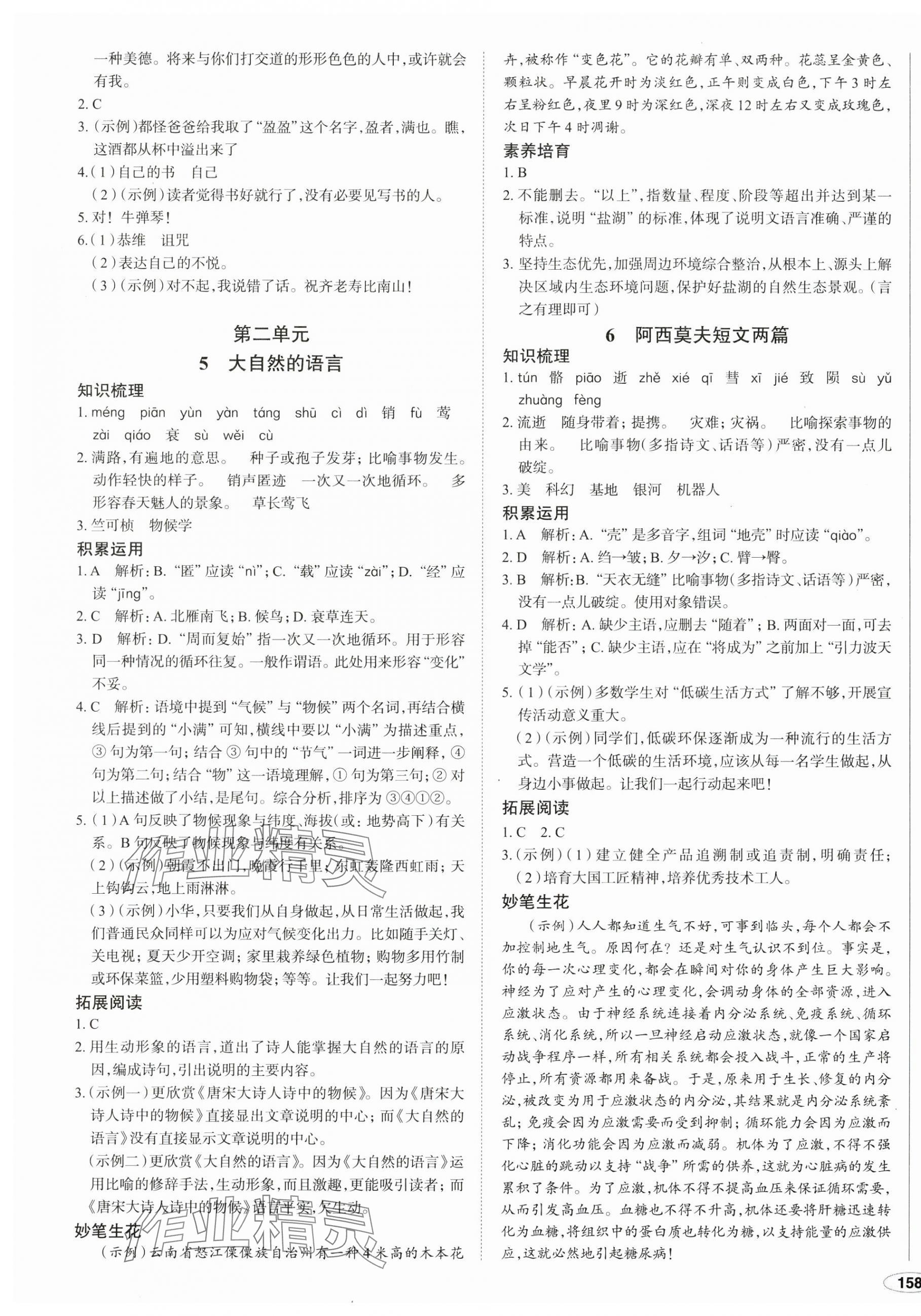 2025年中考檔案初中同步學案導學八年級語文下冊人教版青島專版 第3頁