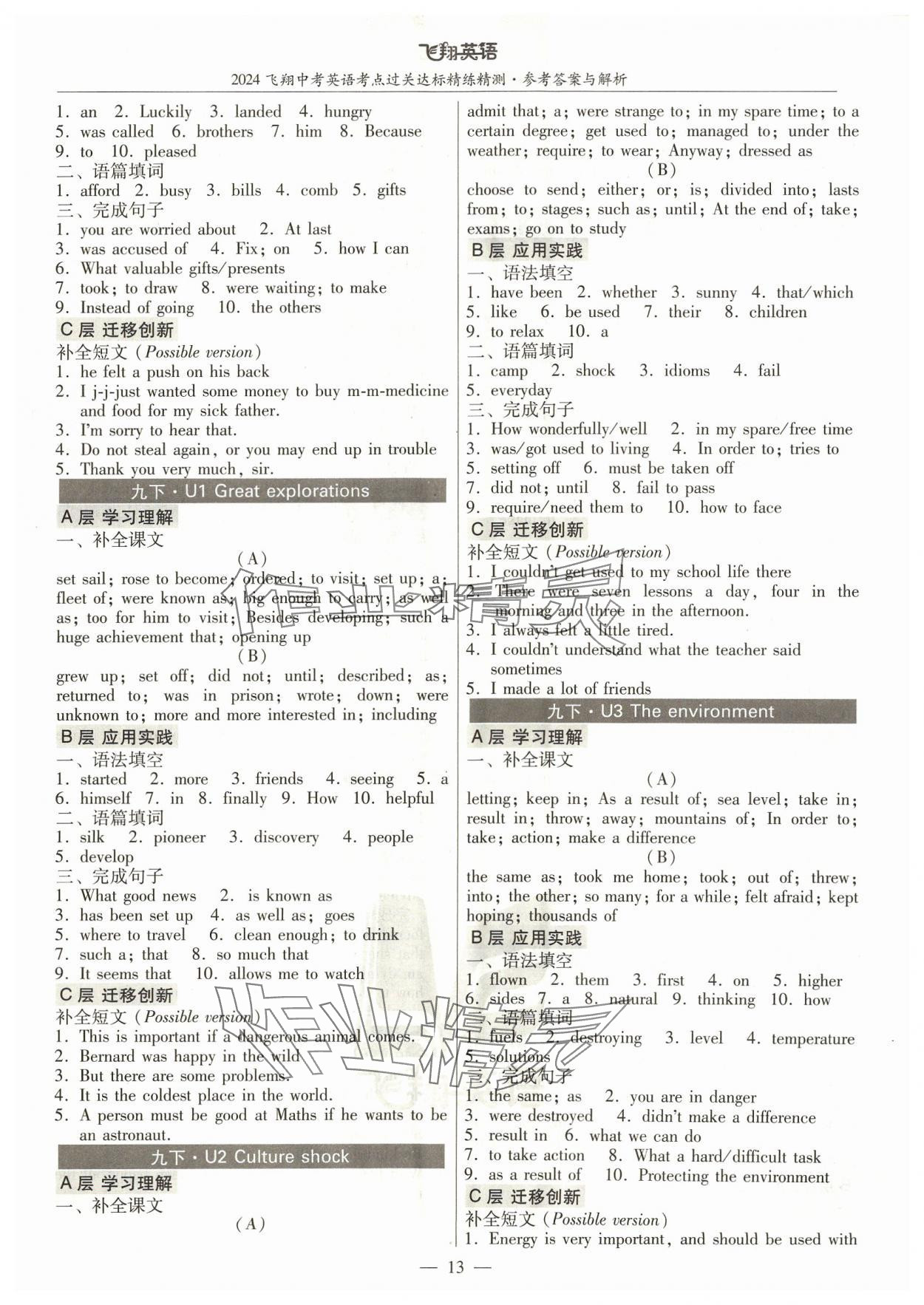 2024年飞翔英语中考广州专版&nbsp;参考答案第13页