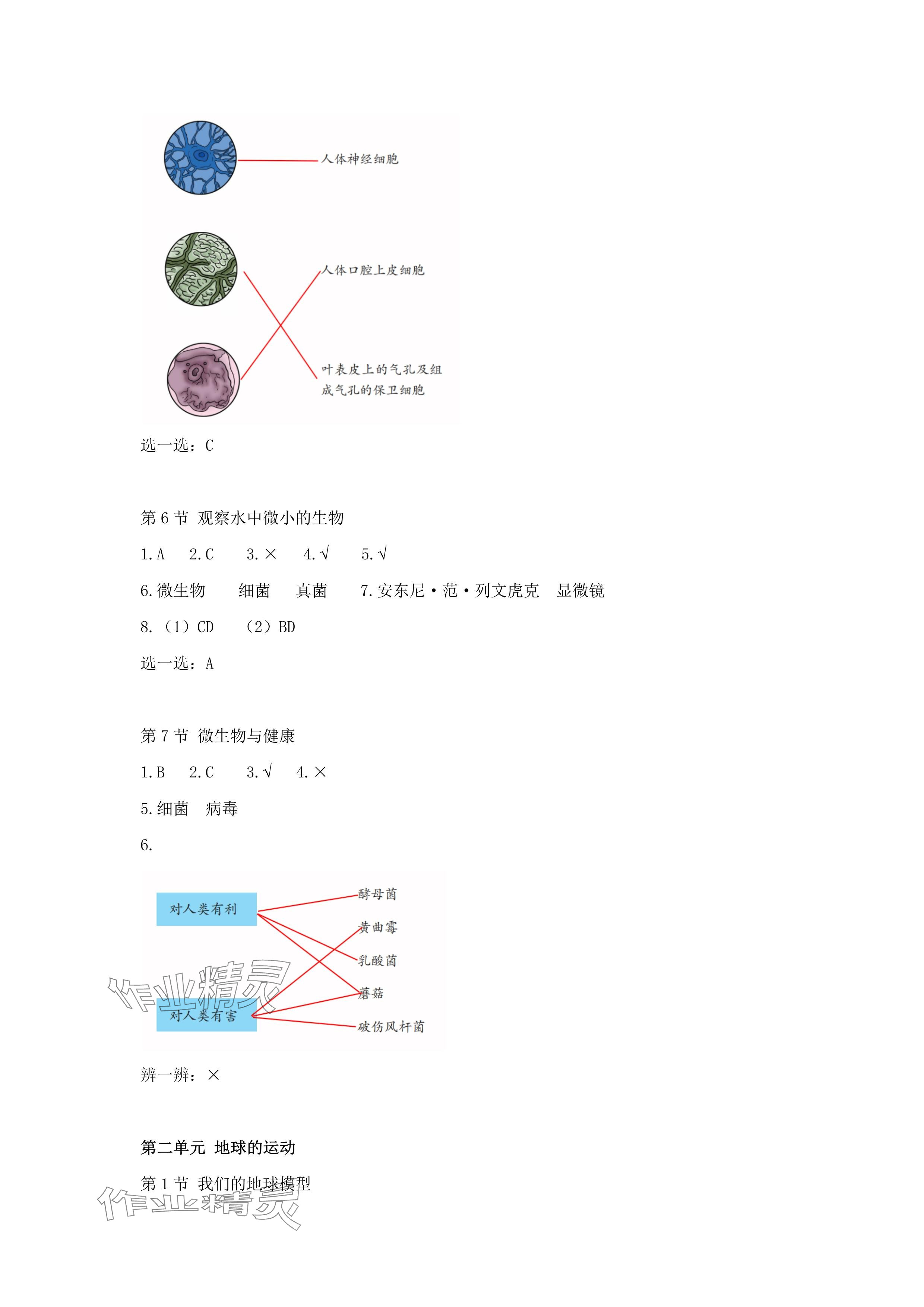2024年科學素養提升六年級科學上冊教科版 參考答案第3頁