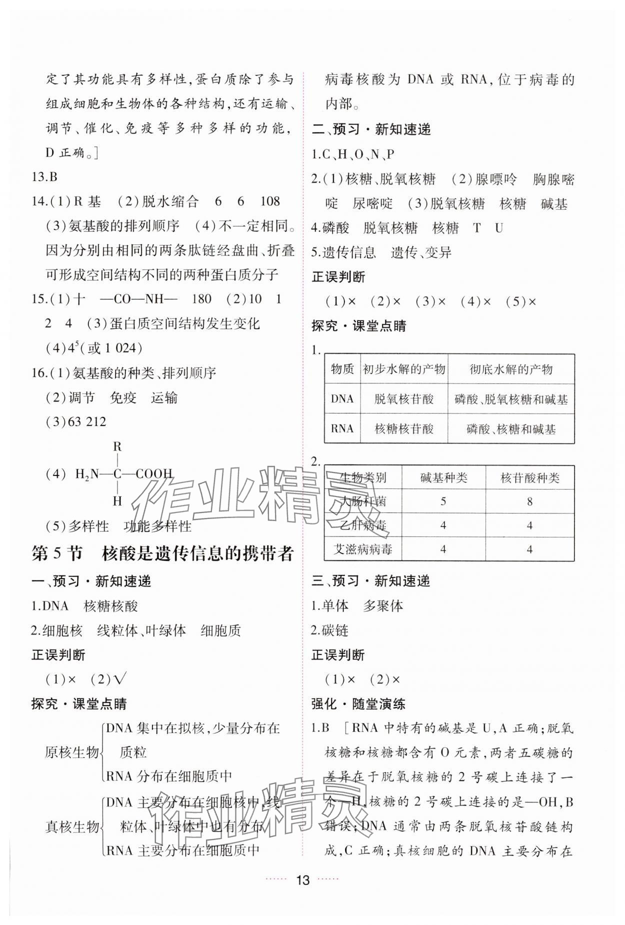 2023年三維隨堂精練高中生物必修1人教版 第13頁