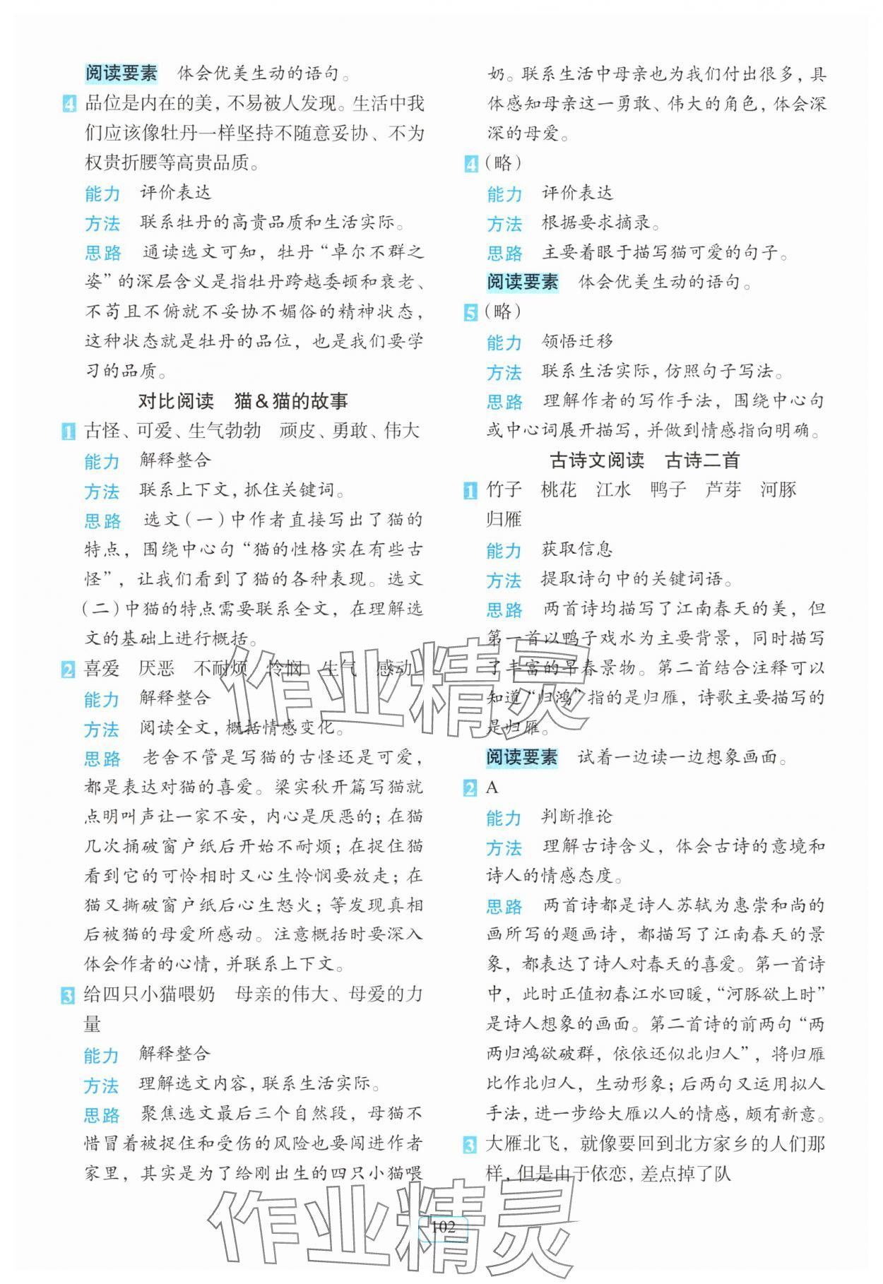 2025年知行合閱讀主題拓展訓練三年級語文下冊人教版 第2頁