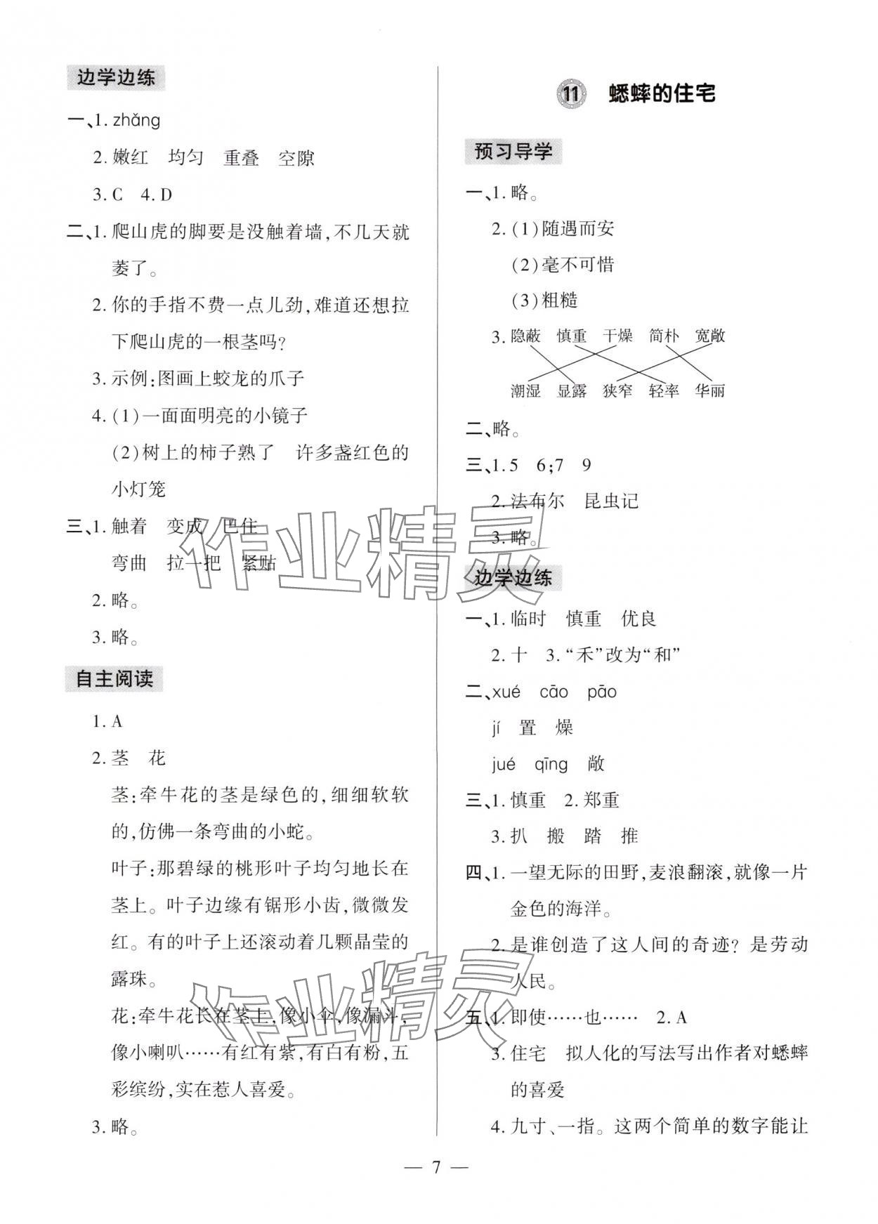 2025年新课堂学习与探究四年级语文上册人教版 第7页