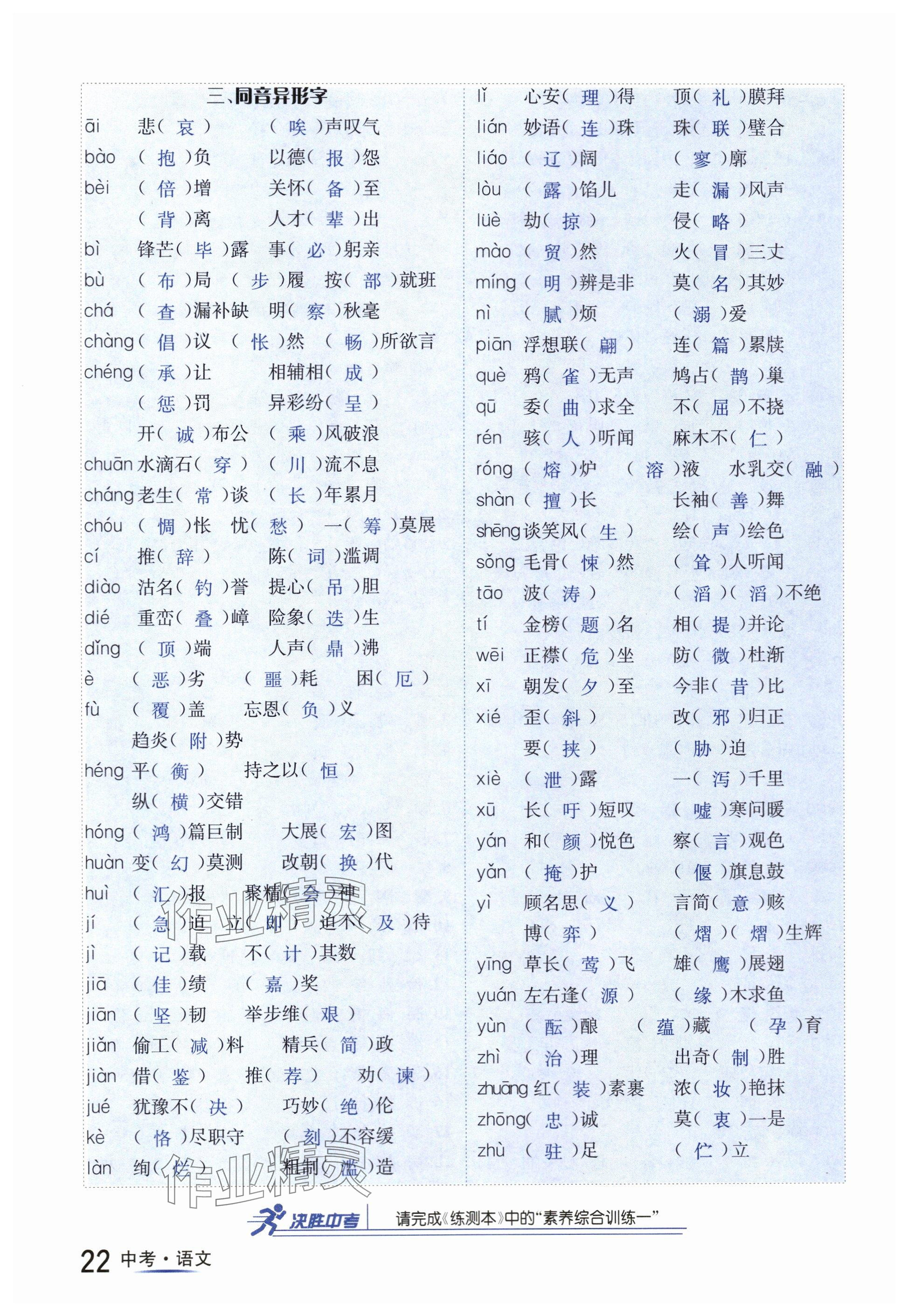 2024年国华图书中考拐点语文南充专版 参考答案第22页