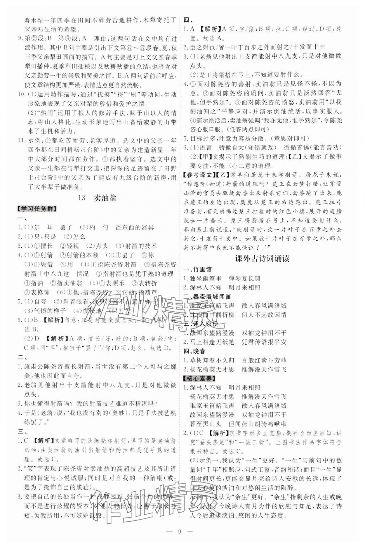 2024年同步?jīng)_刺七年級語文下冊人教版 參考答案第9頁