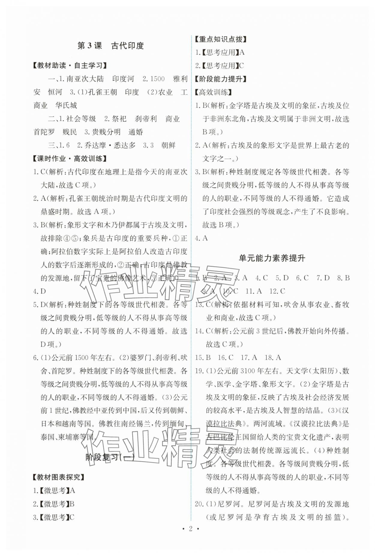 2025年能力培养与测试九年级历史上册人教版 第2页