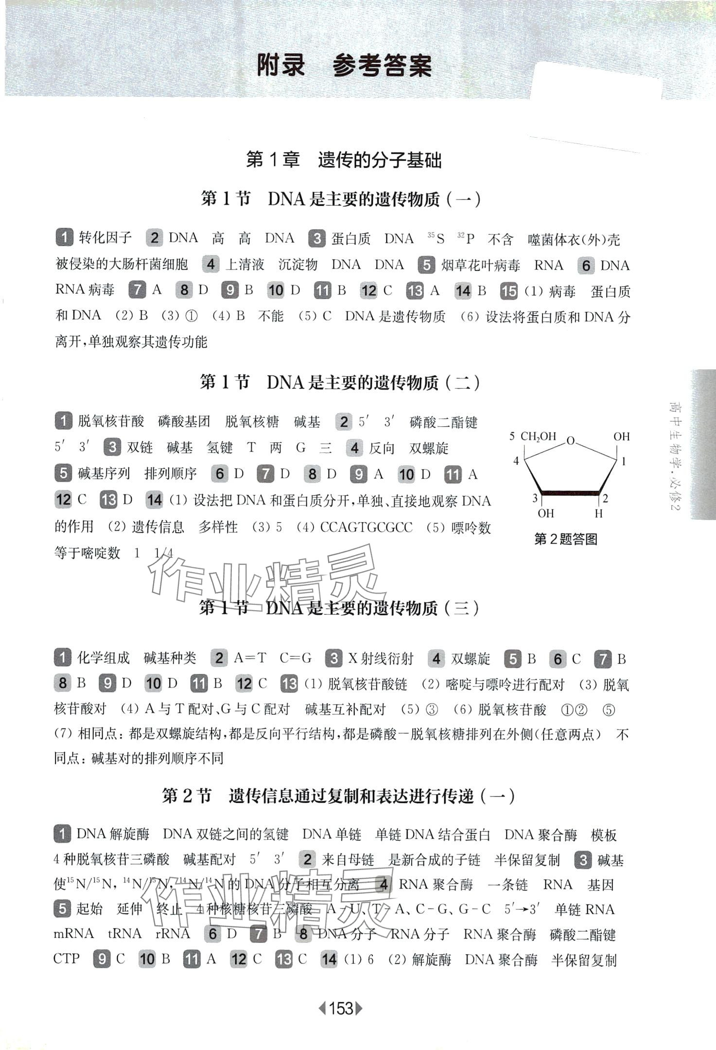 2024年华东师大版一课一练高中生物必修2 第1页