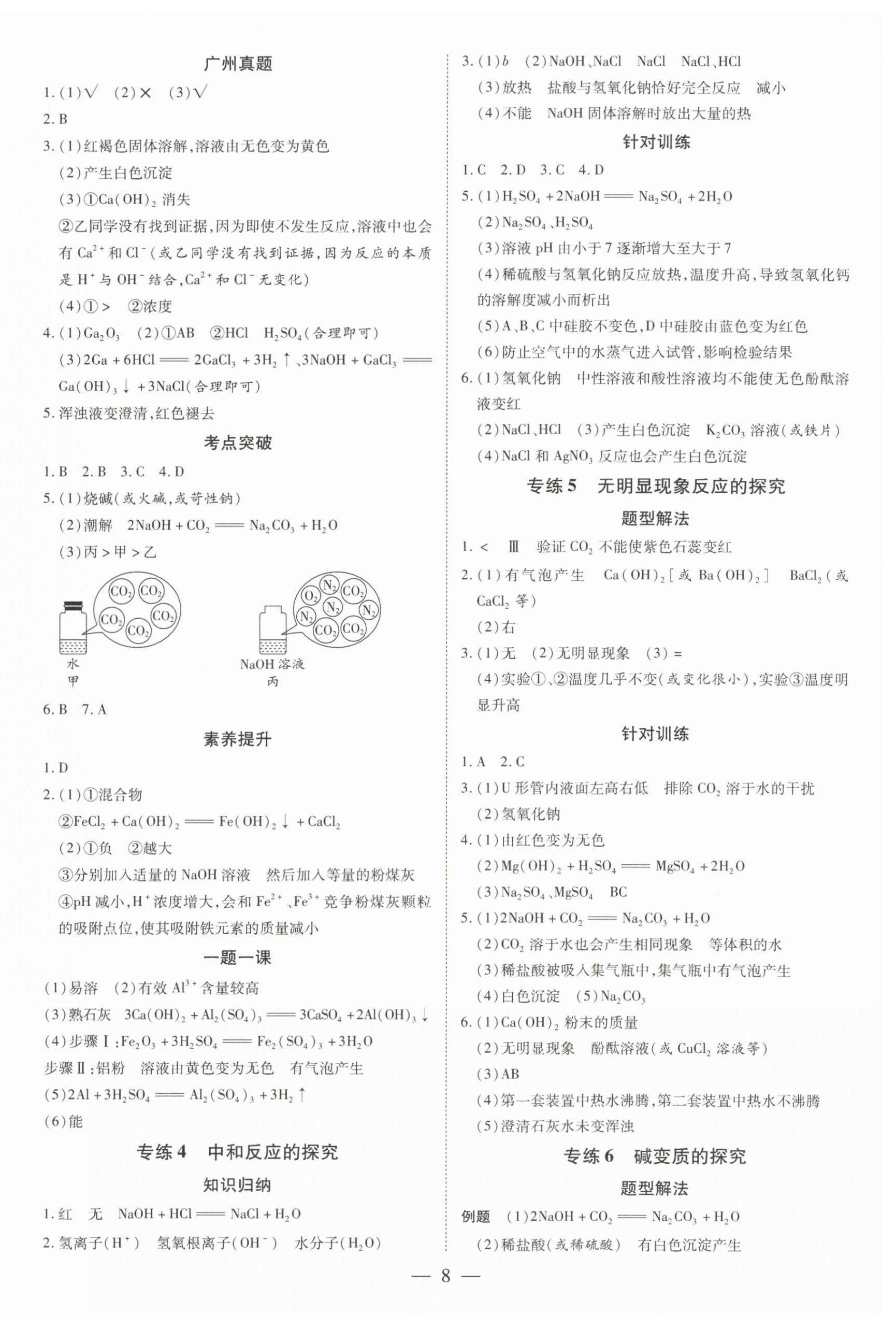 2026年领跑中考化学广州专版&nbsp;第8页