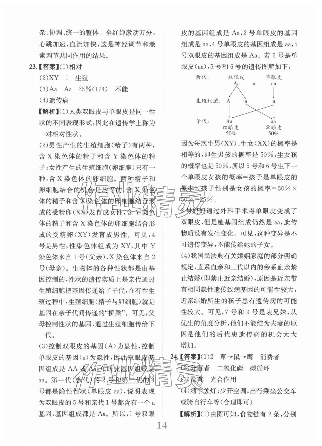 2025年金卷1號中考模擬仿真卷生物中考成都專版 第14頁
