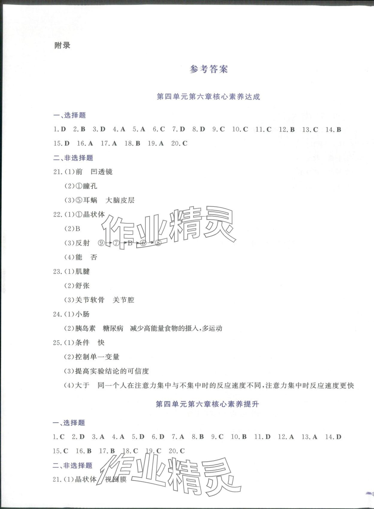 2025年同步优学核心素养评价八年级生物上册人教版 第1页