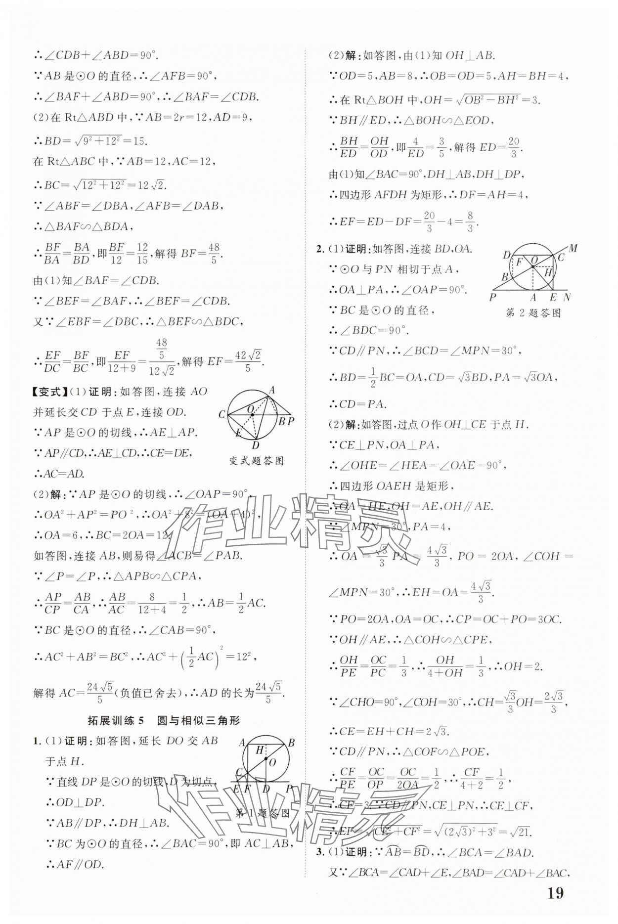 2025年中考新突破數(shù)學人教版陜西專版 第19頁