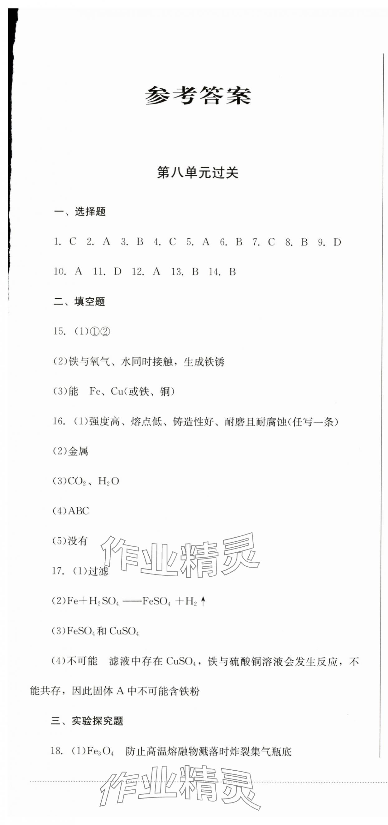 2024年精練過關(guān)四川教育出版社九年級化學(xué)下冊人教版 第1頁