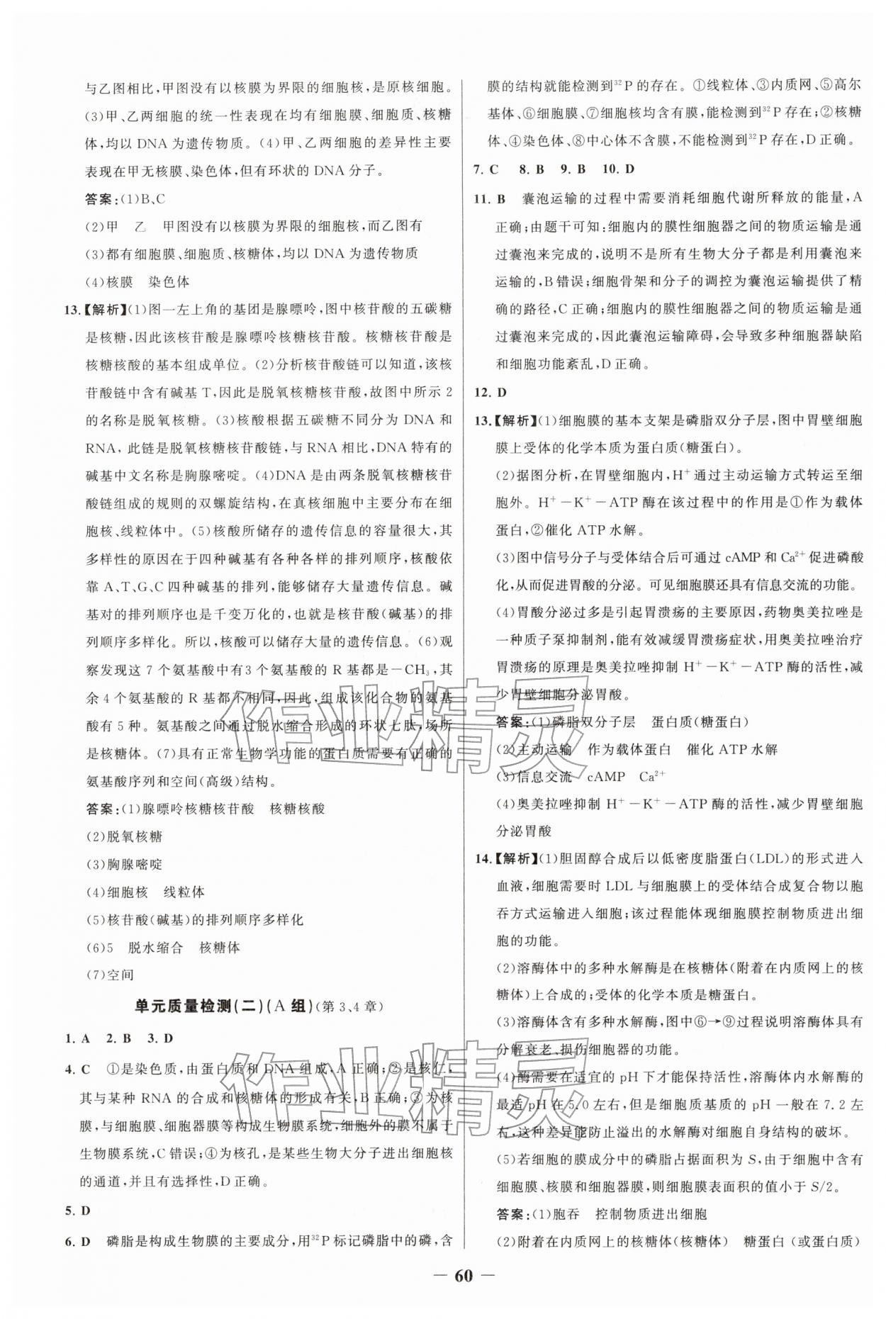 2025年新視野寒假作業(yè)高一生物&nbsp;第2頁