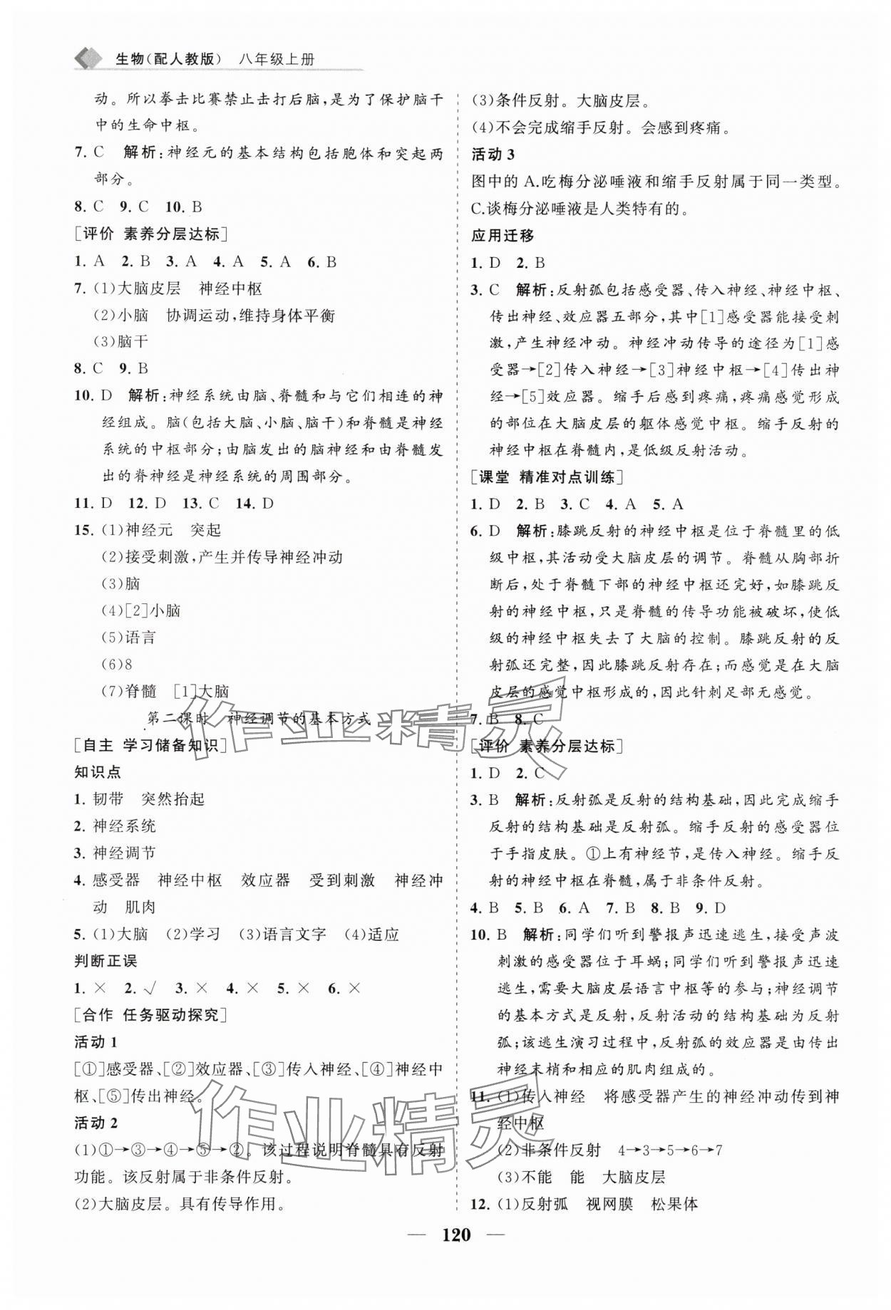 2025年新課程同步練習冊八年級生物上冊人教版 第4頁