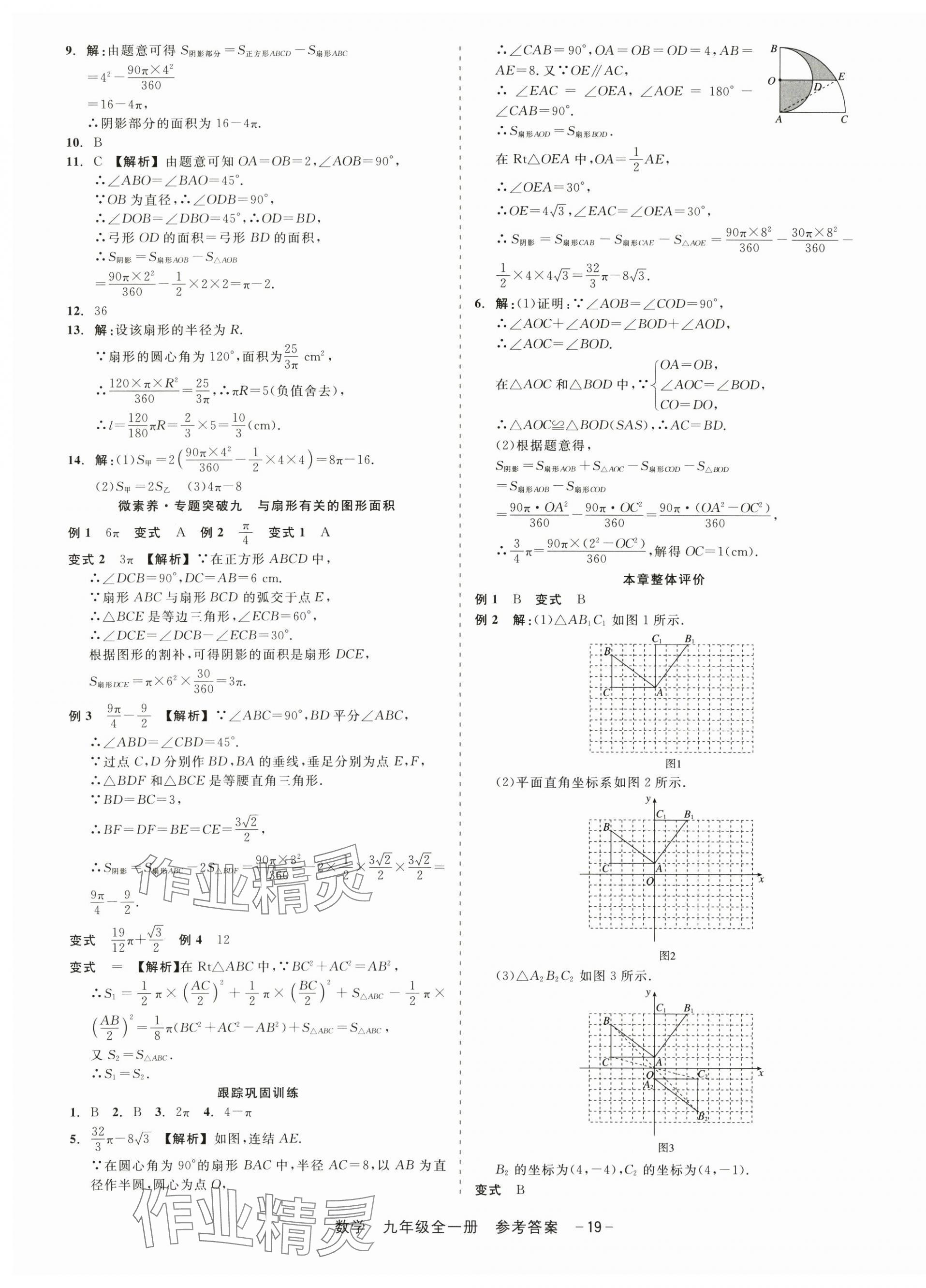 2025年精彩三年就练这一本九年级数学全一册浙教版 第19页