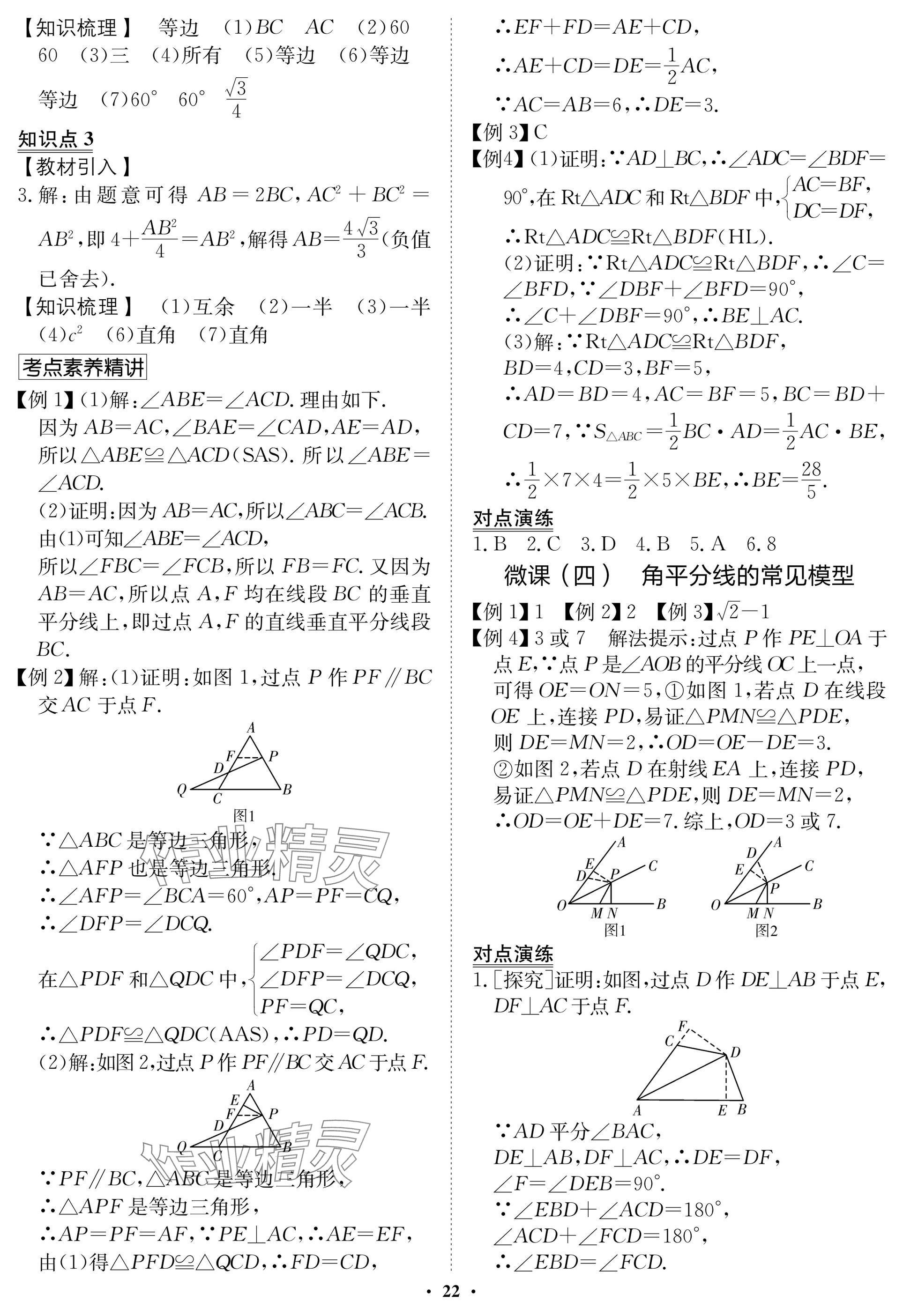 2025年湖北专版指点中考数学 参考答案第22页