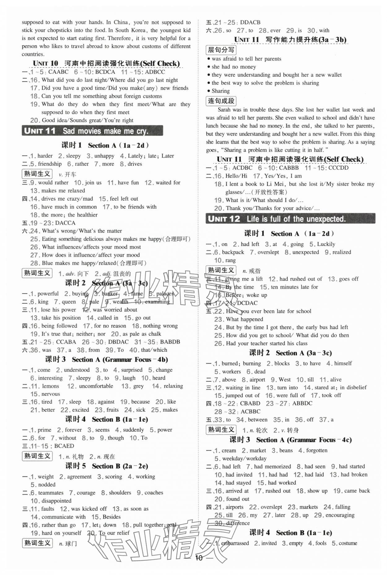 2025年点拨训练九年级英语全一册人教版河南专版 第10页