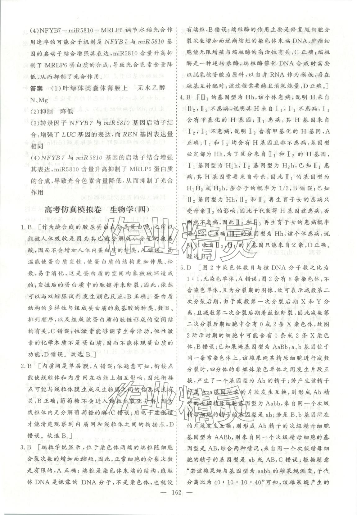 2026年薪火金卷高考仿真模拟卷生物 第14页