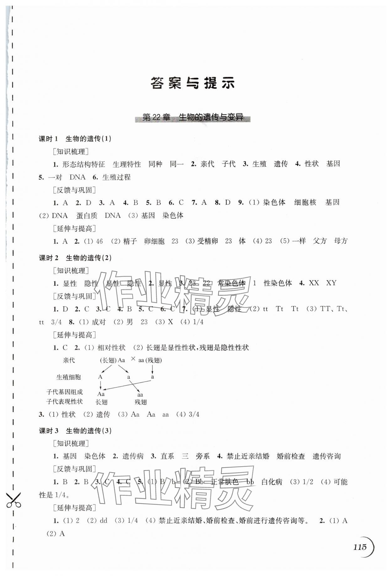 2024年同步练习江苏八年级生物下册苏科版 第1页