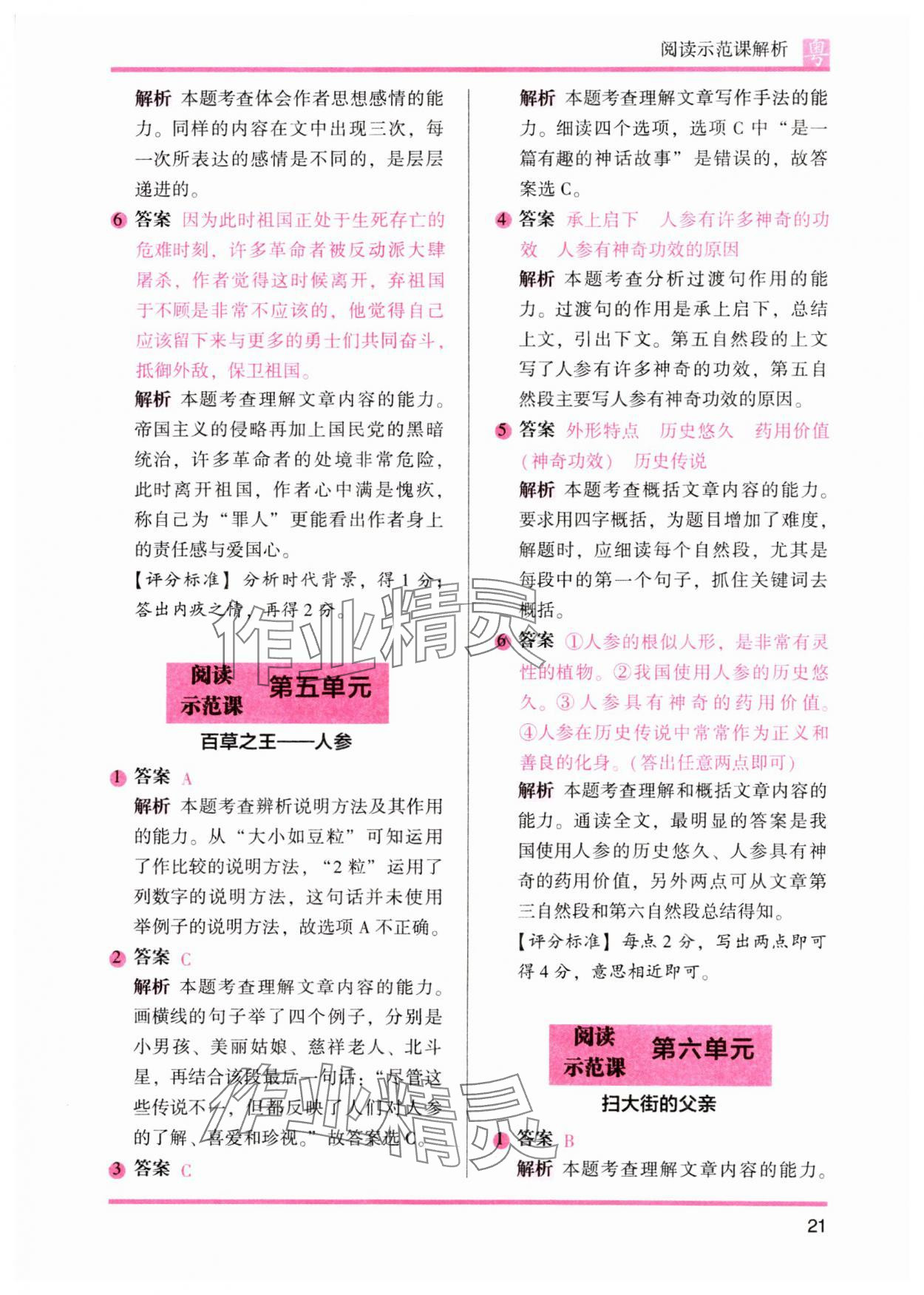 2023年木頭馬閱讀力測評小學(xué)語文五年級人教版培優(yōu)篇A版廣東專版 參考答案第6頁