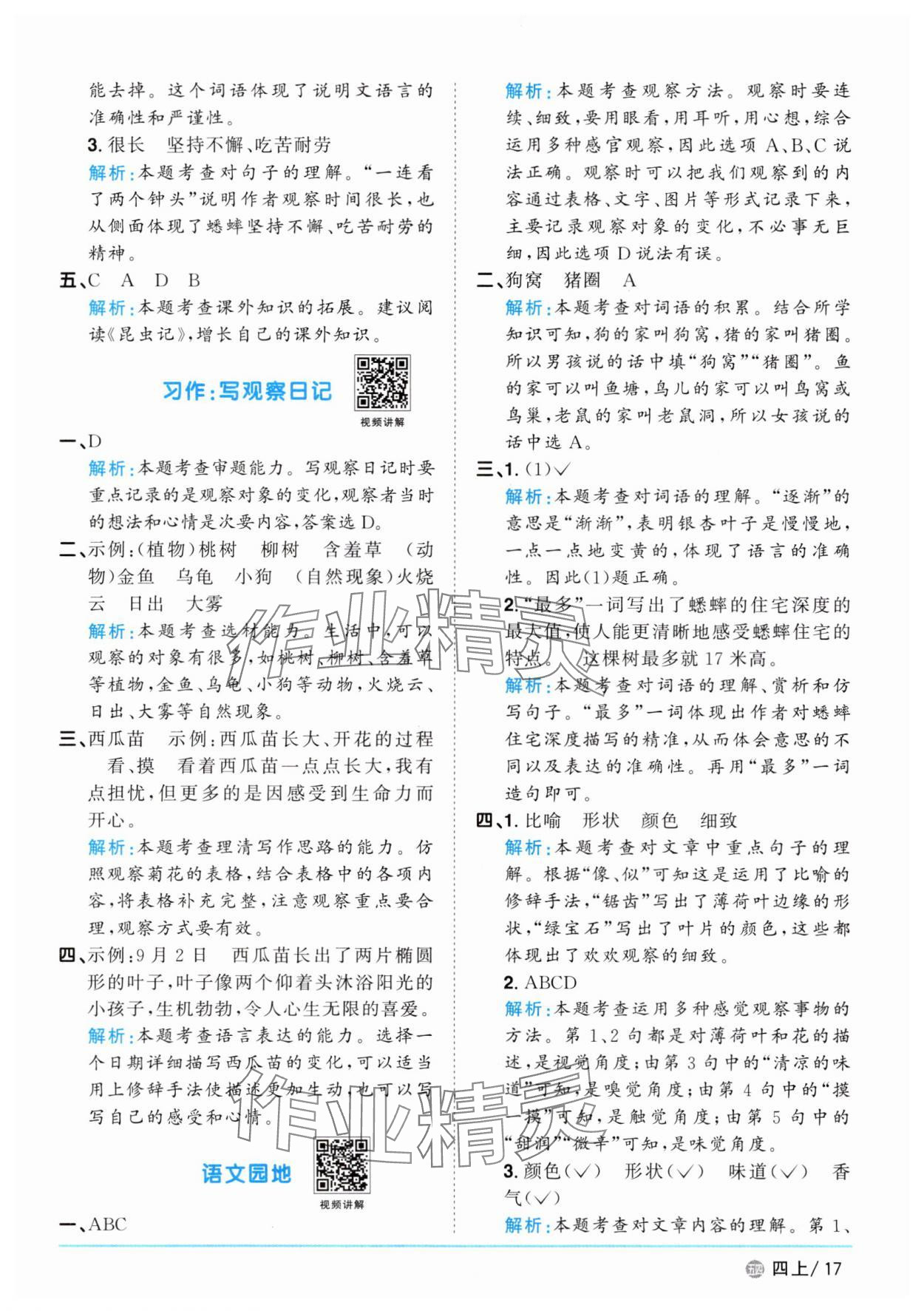 2025年陽光同學(xué)課時(shí)優(yōu)化作業(yè)四年級(jí)語文上冊(cè)人教版五四制 第17頁