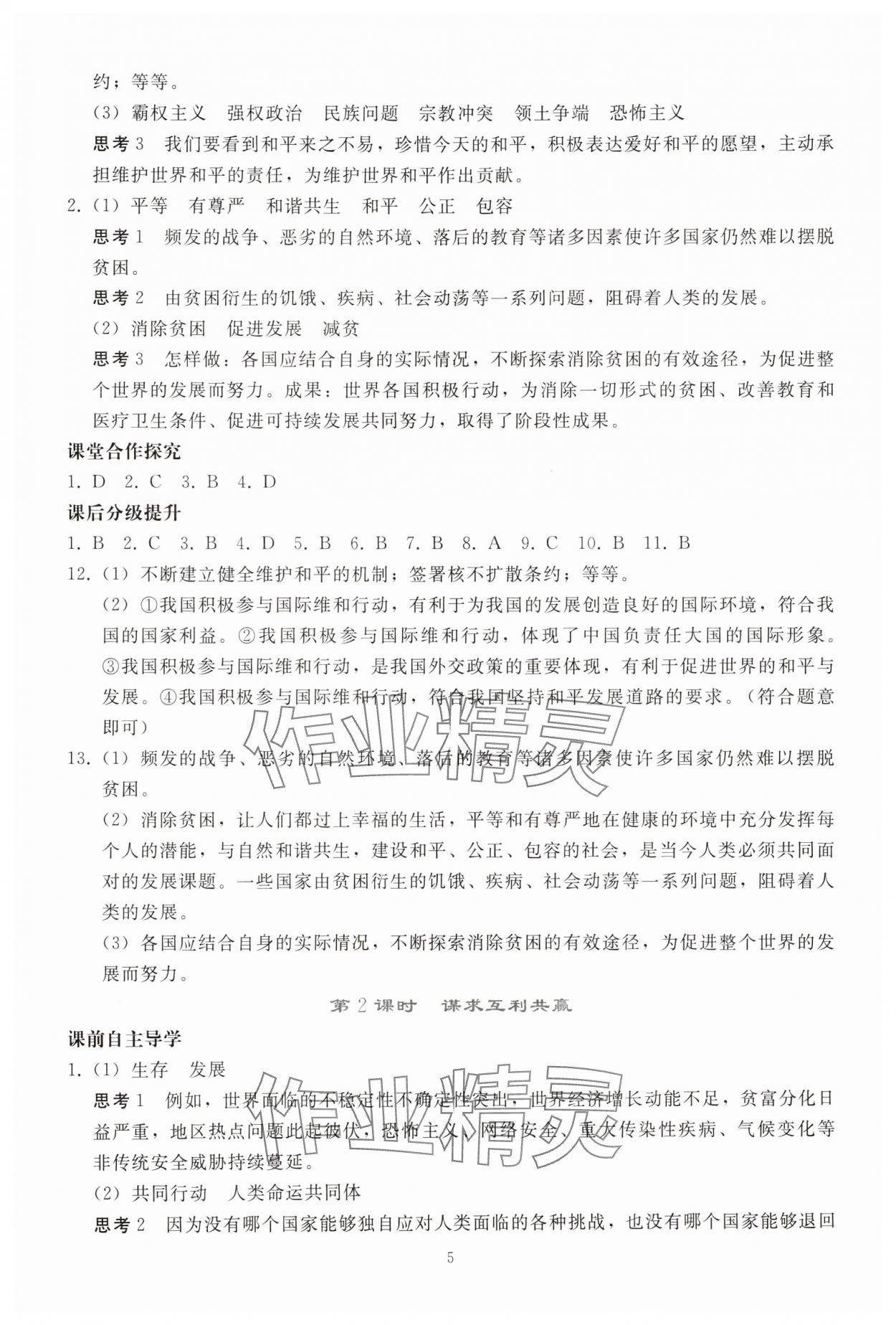 2025年同步轻松练习九年级道德与法治下册人教版 参考答案第4页