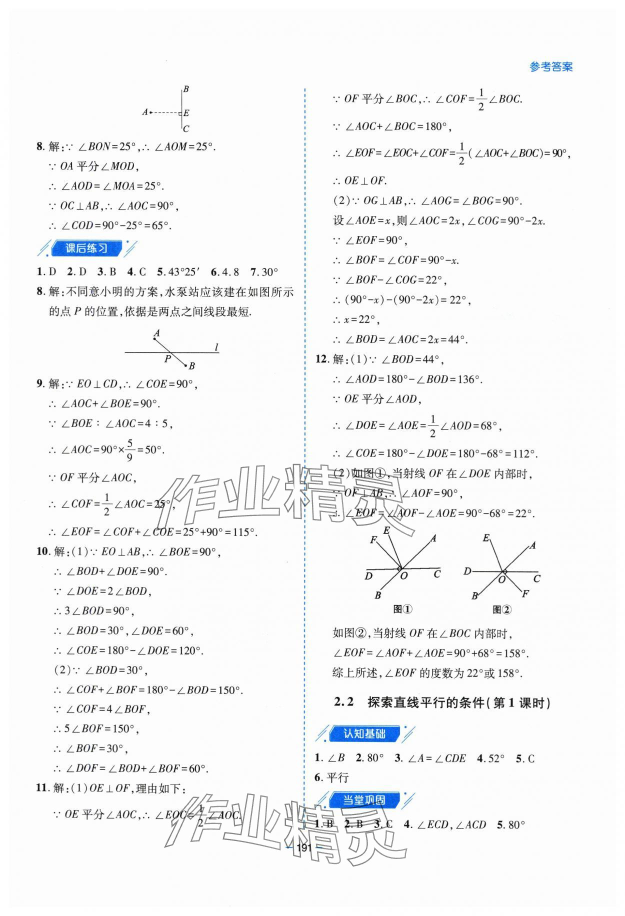 2024年新課堂學習與探究七年級數(shù)學下冊北師大版 第15頁