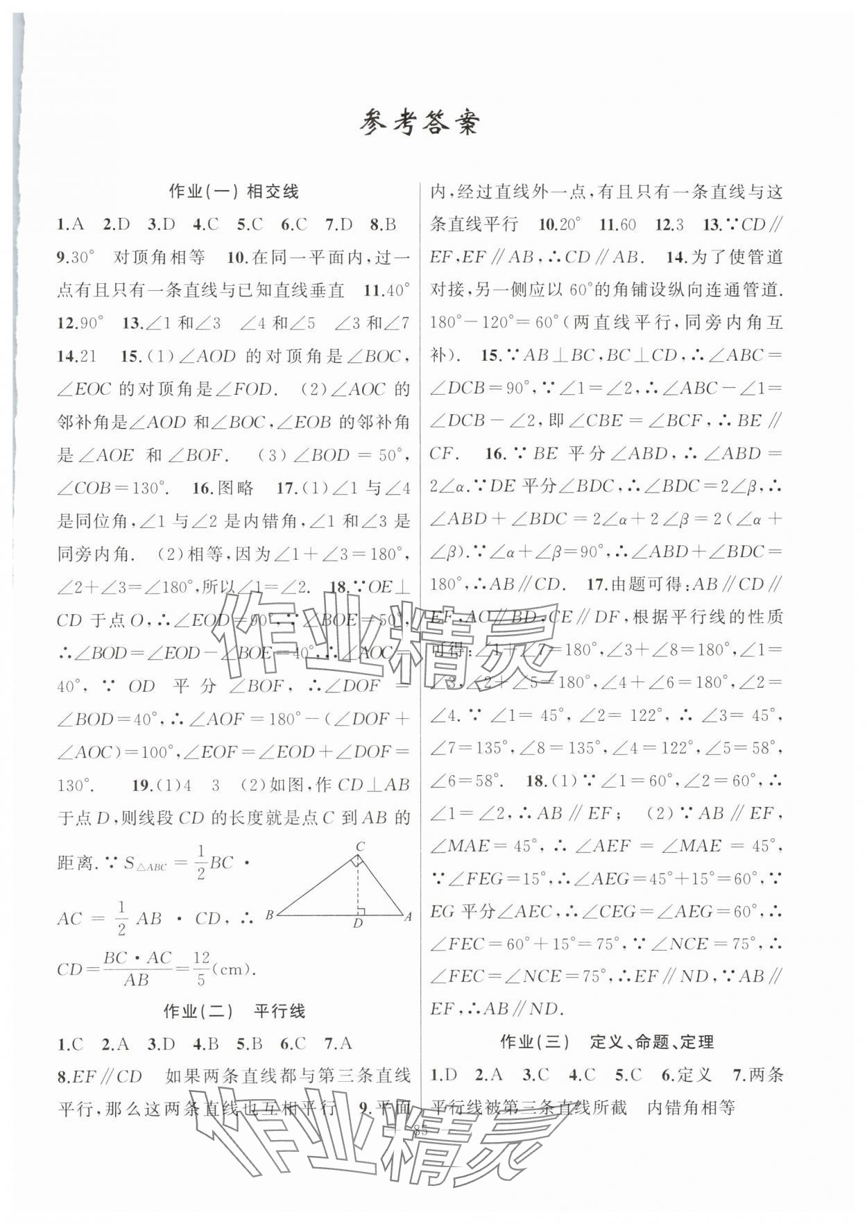 2025年暑假作業新疆青少年出版社七年級數學人教版 第1頁