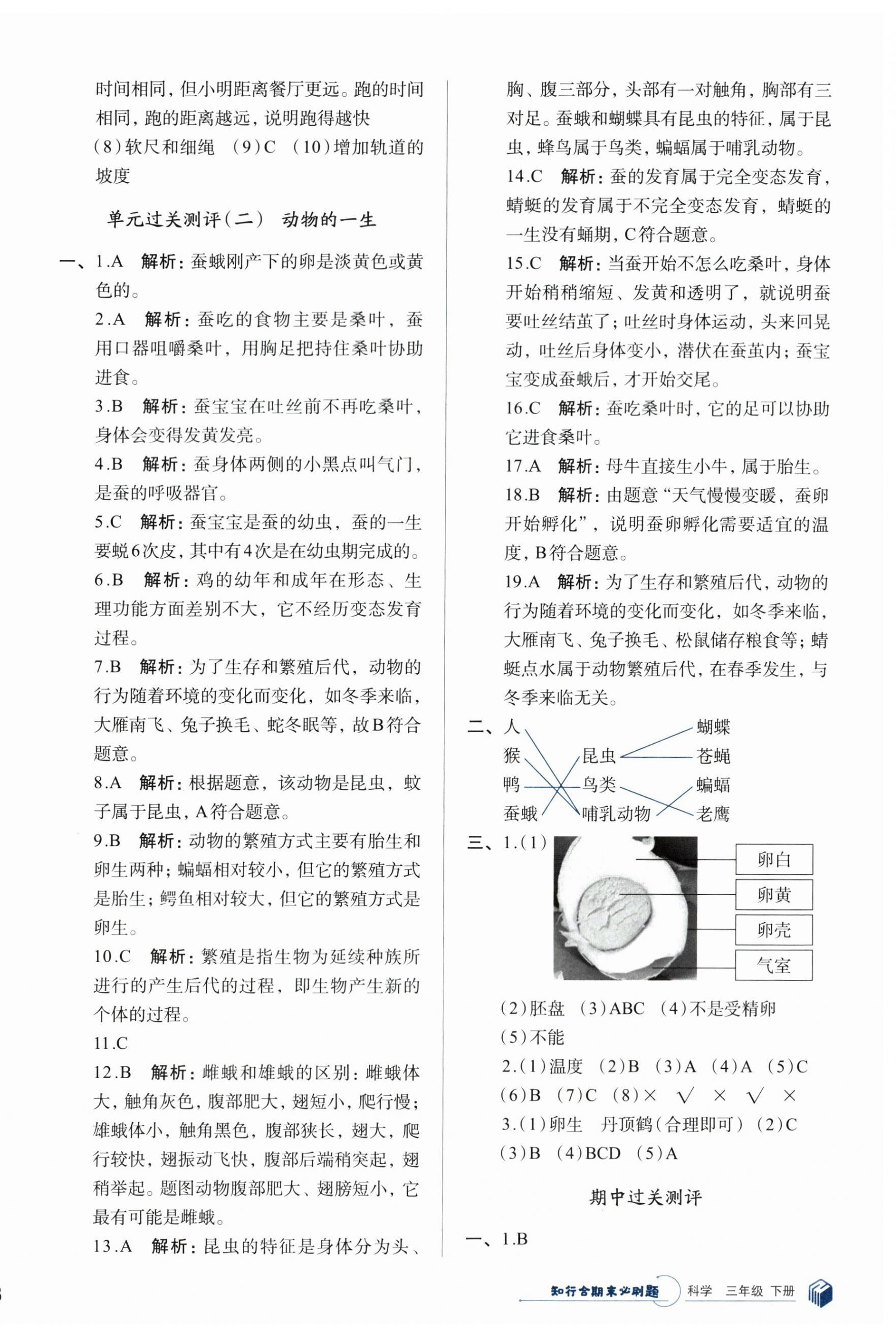 2024年知行合期末必刷題三年級(jí)科學(xué)下冊(cè)教科版 參考答案第2頁(yè)