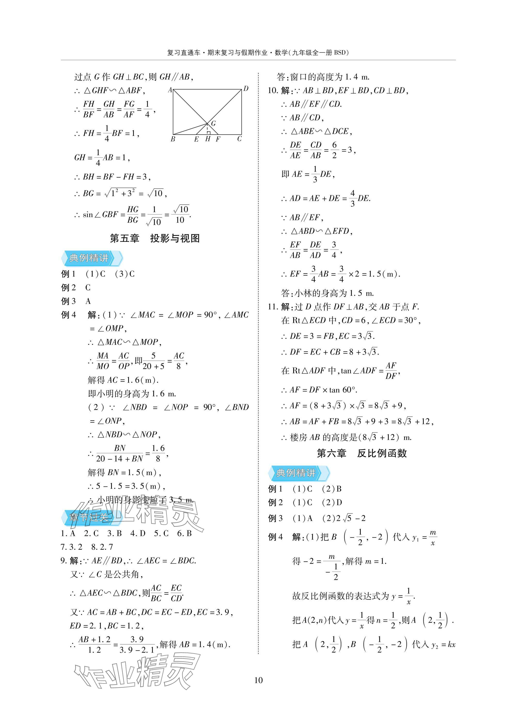 2025年復(fù)習(xí)直通車期末復(fù)習(xí)與假期作業(yè)九年級(jí)數(shù)學(xué)北師大版 參考答案第10頁