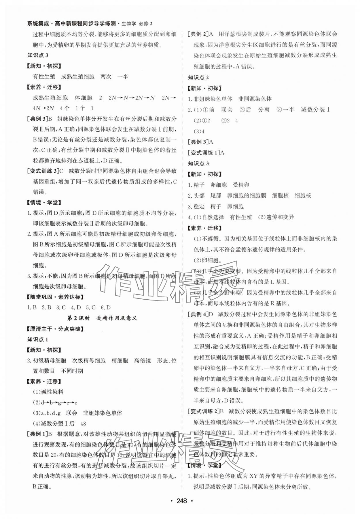 2024年系統(tǒng)集成新課程同步導(dǎo)學(xué)練測高中生物必修2 參考答案第6頁