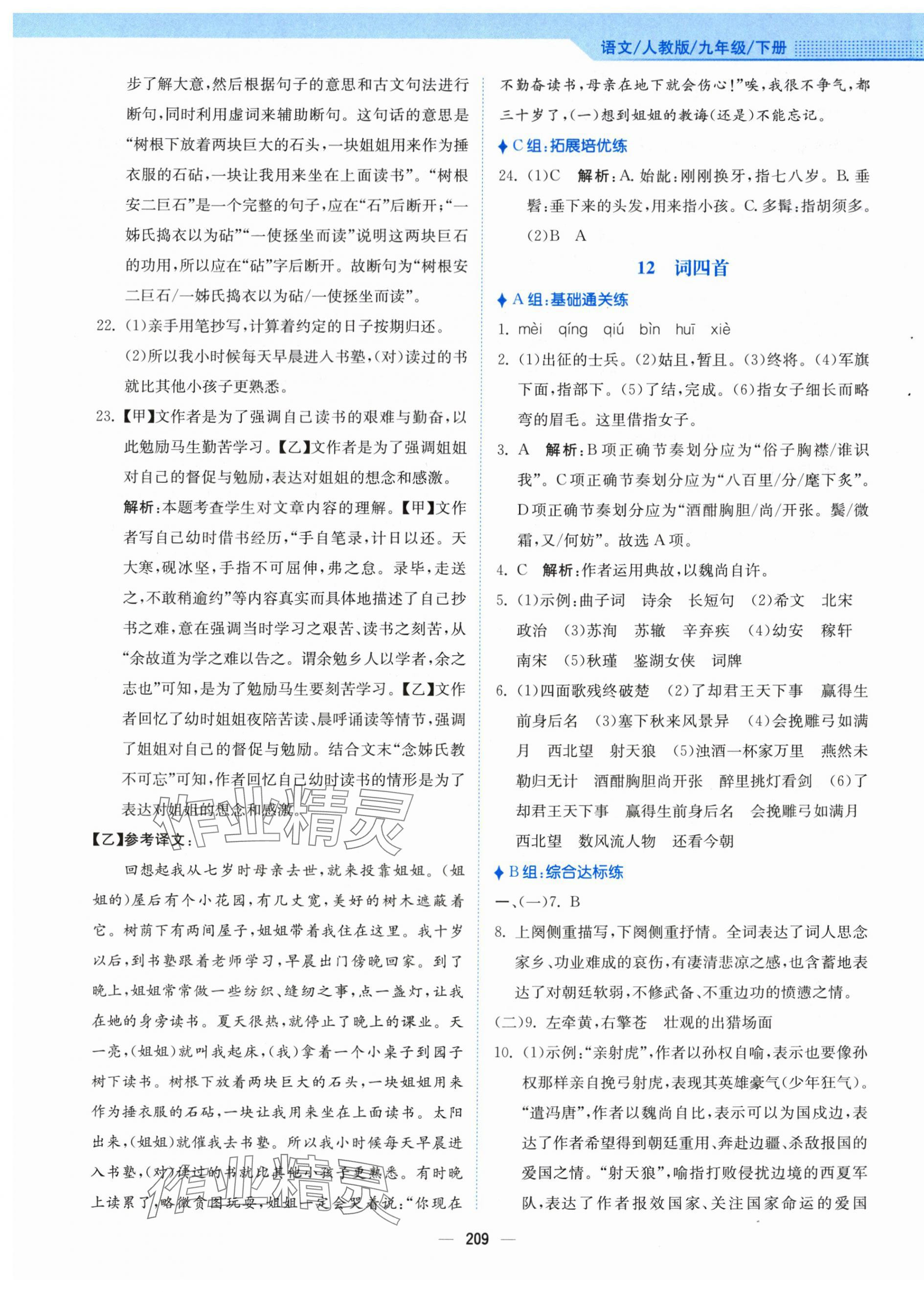 2024年新編基礎(chǔ)訓(xùn)練九年級語文下冊人教版 第13頁