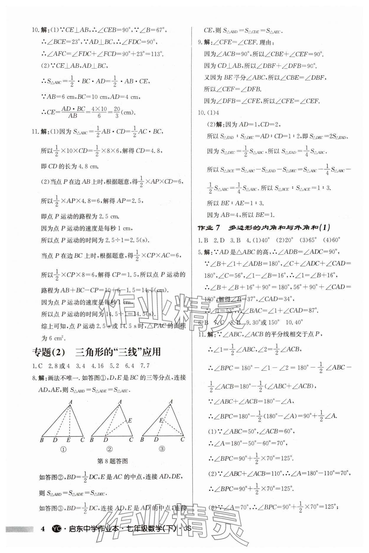 2024年启东中学作业本七年级数学下册苏科版盐城专版 第4页