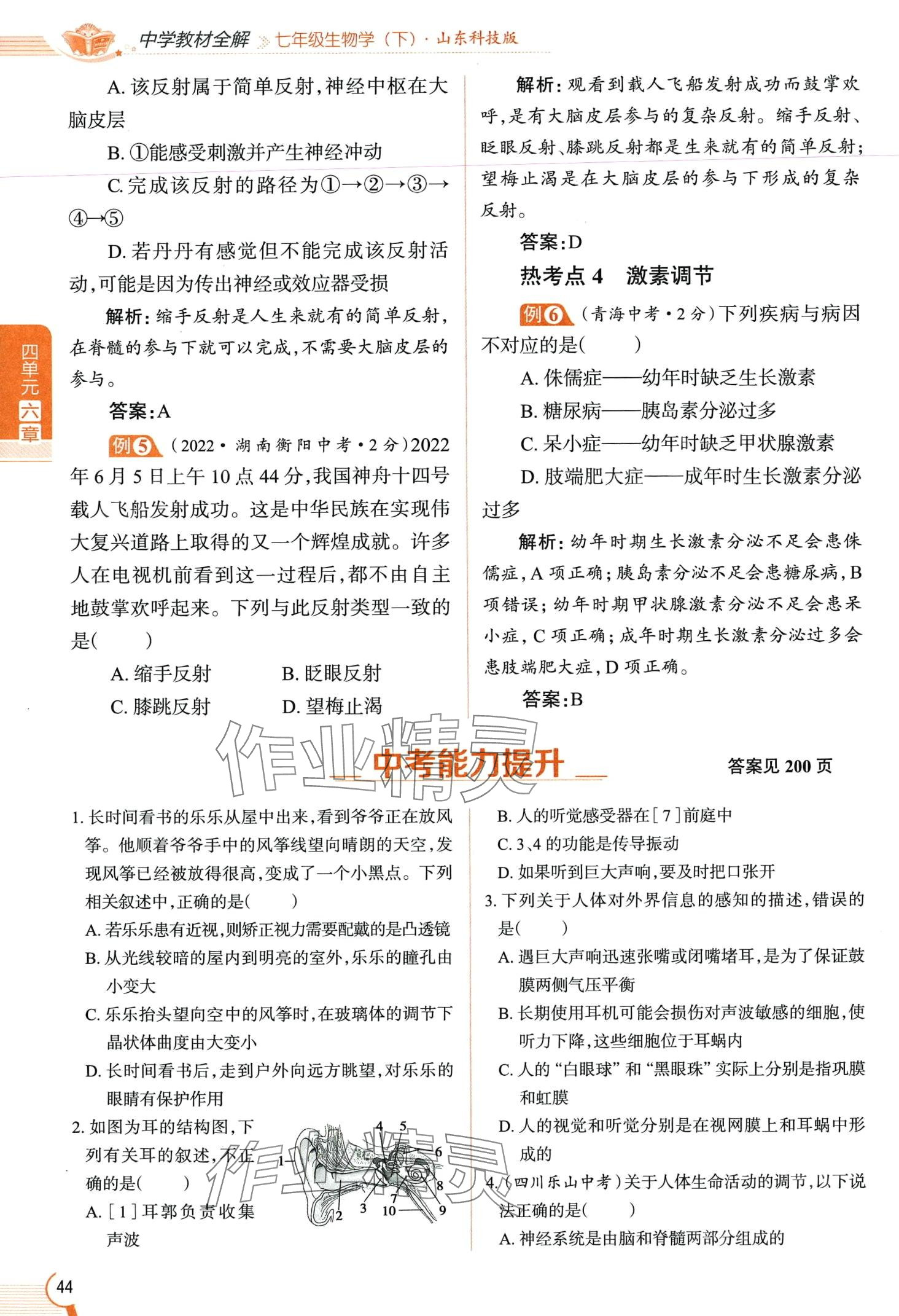 2024年教材课本七年级生物下册鲁科版&nbsp;第44页