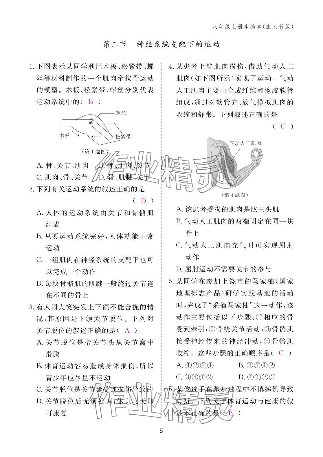 2025年作業本江西教育出版社八年級生物上冊人教版&nbsp;參考答案第5頁
