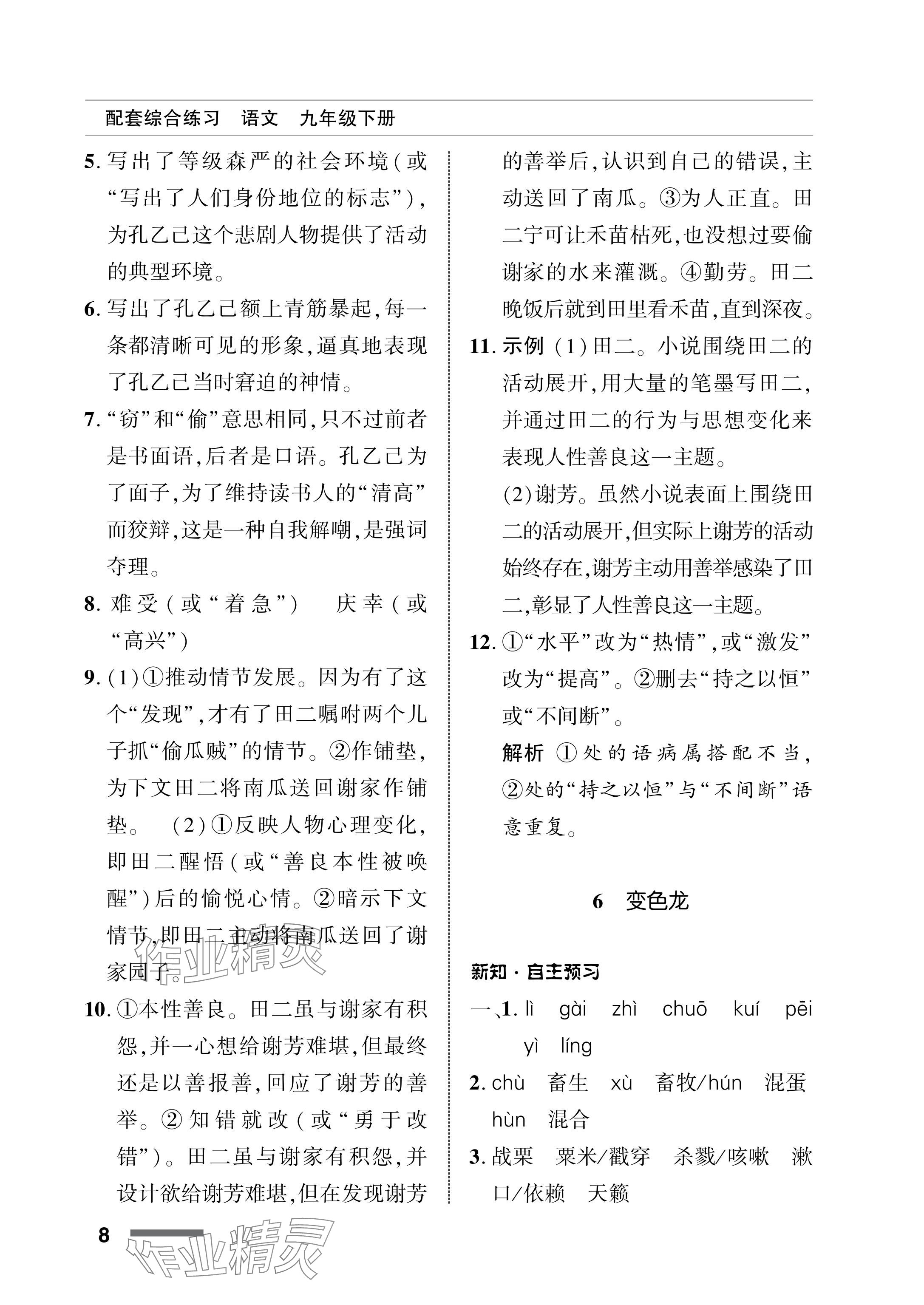 2024年配套綜合練習(xí)甘肅九年級語文下冊人教版 參考答案第8頁