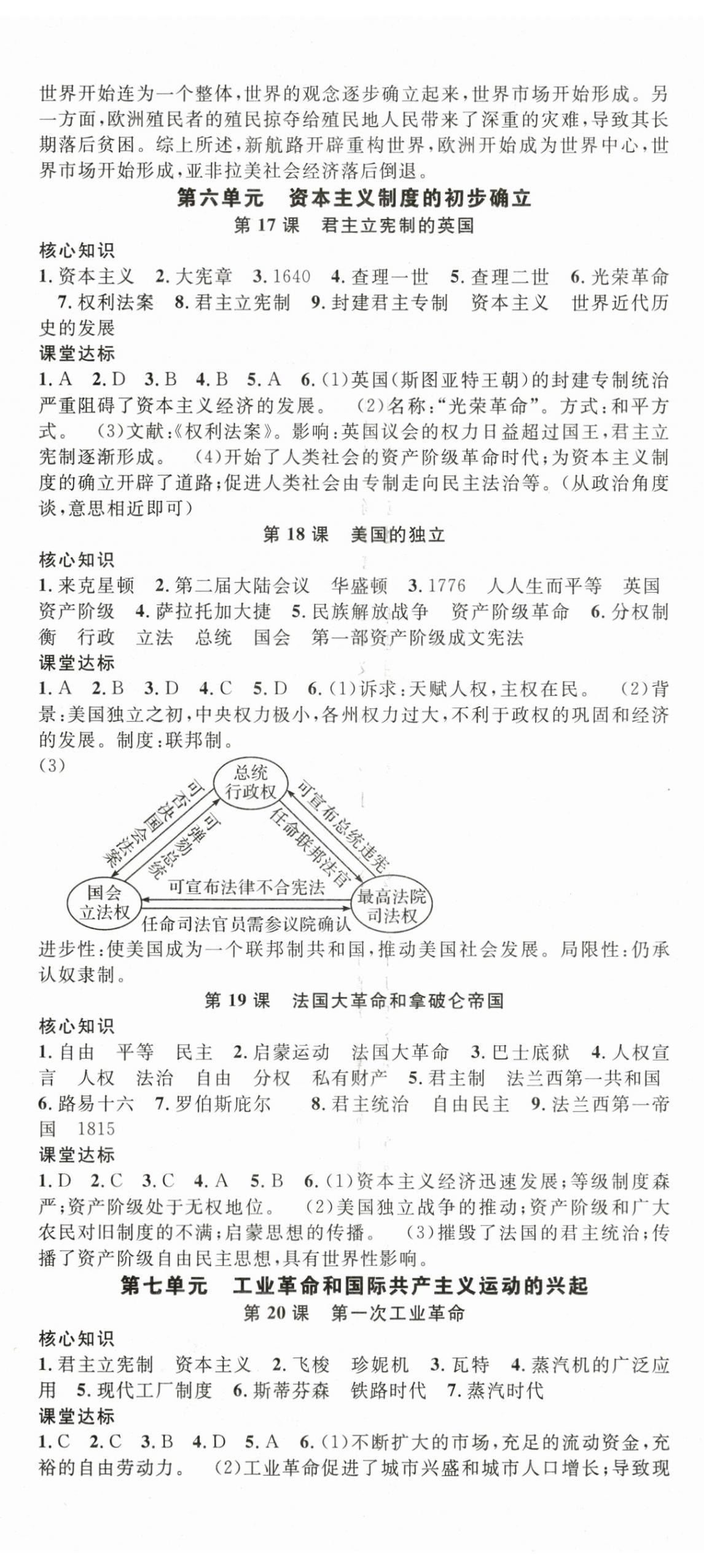 2025年名師學(xué)案九年級歷史全一冊 第5頁