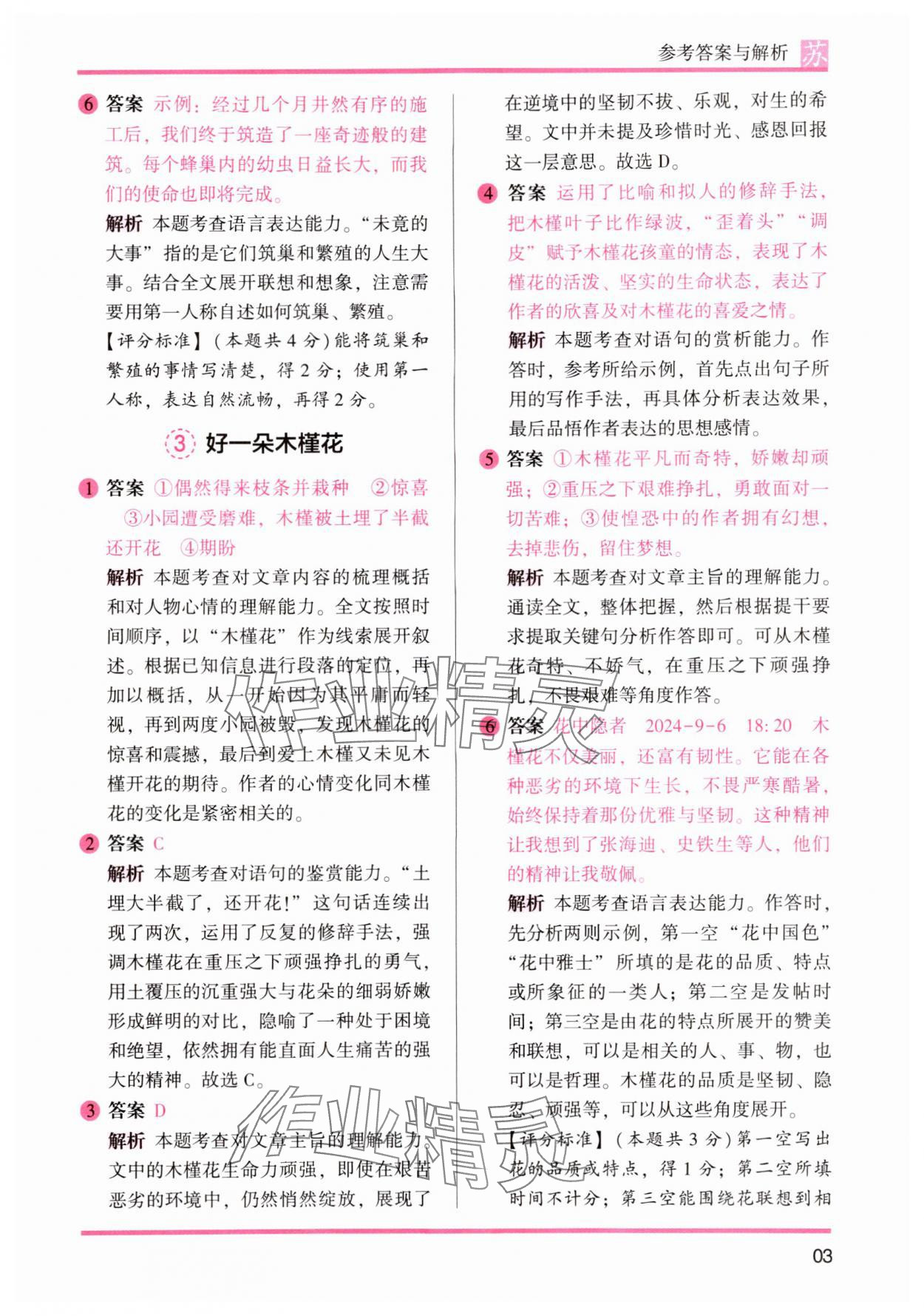 2024年木头马阅读力测评六年级语文上册人教版江苏专版&nbsp;参考答案第3页