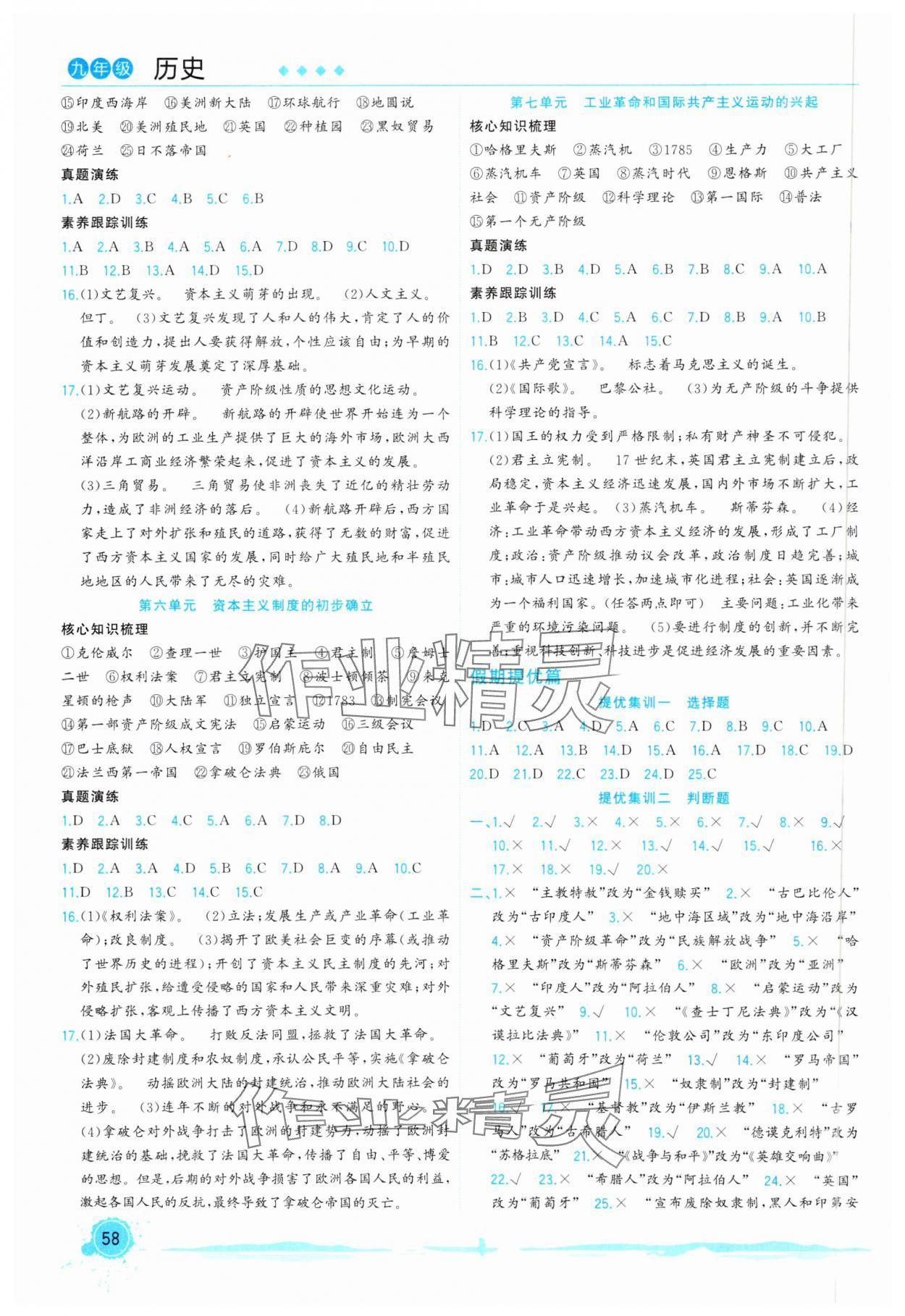 2025年寒假总动员合肥工业大学出版社九年级历史全一册人教版 第2页