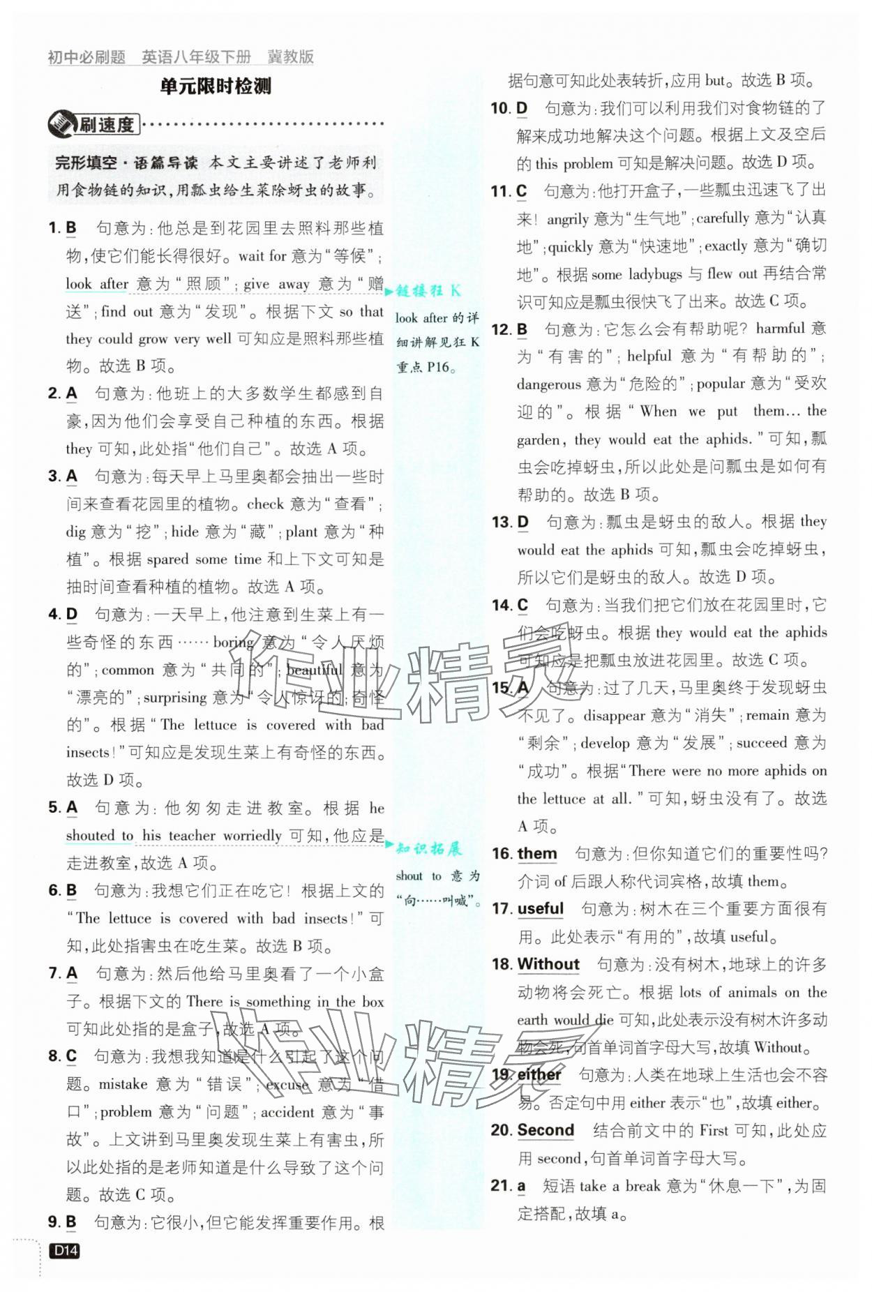 2025年初中必刷題八年級英語下冊冀教版 第14頁