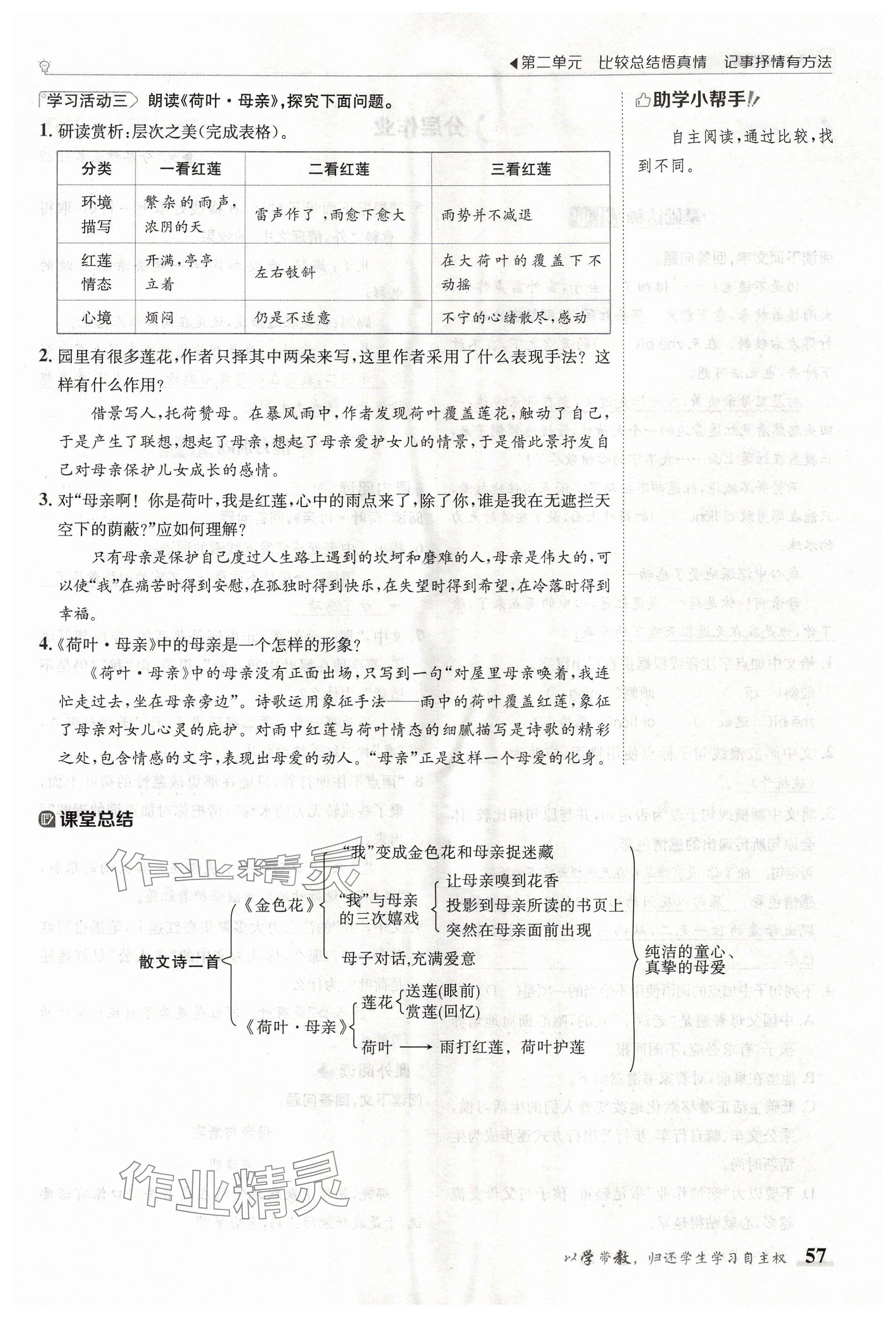 2024年金太阳导学案七年级语文上册人教版 参考答案第57页