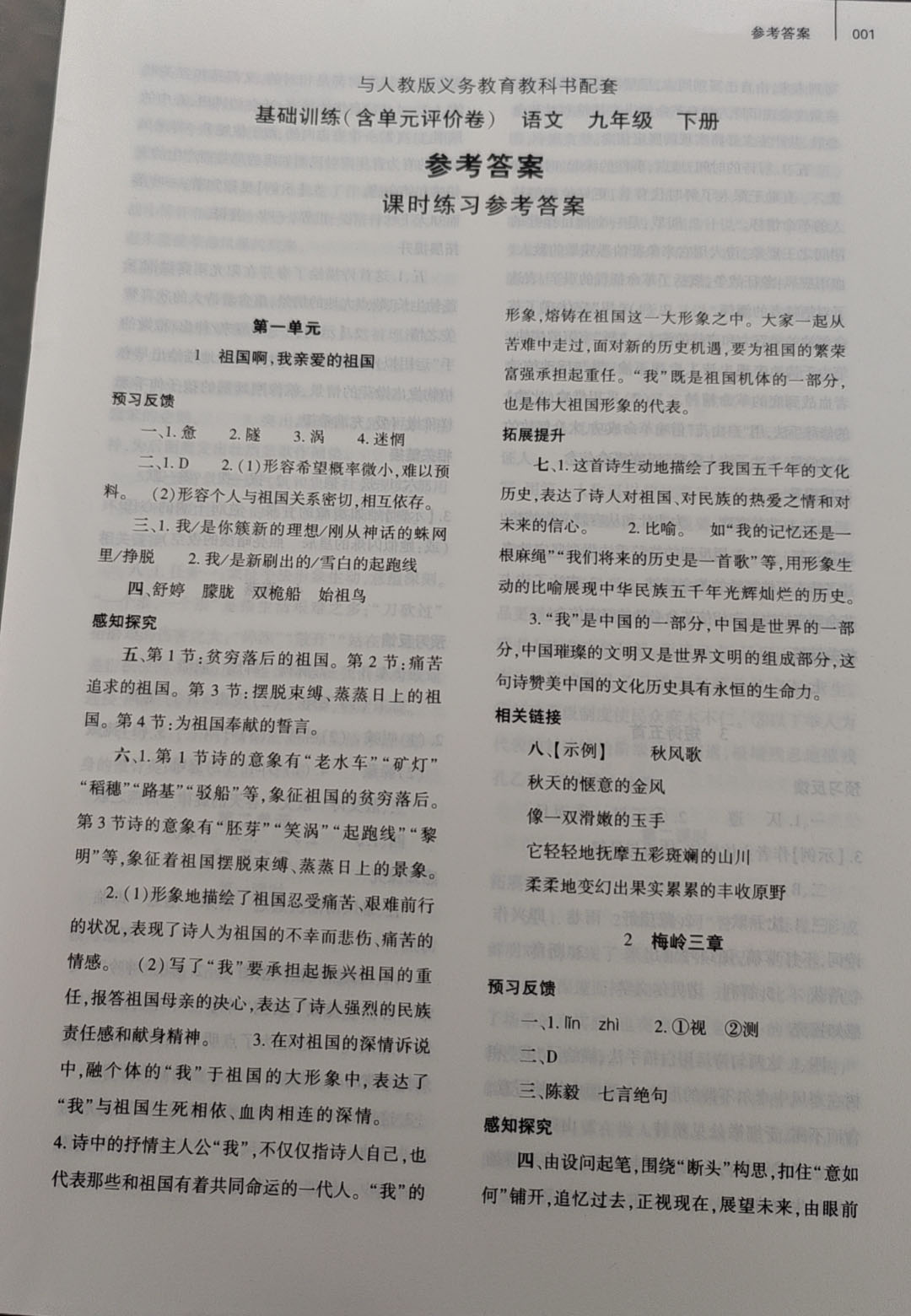 2025年基礎(chǔ)訓(xùn)練大象出版社九年級(jí)語文下冊(cè)人教版 參考答案第1頁