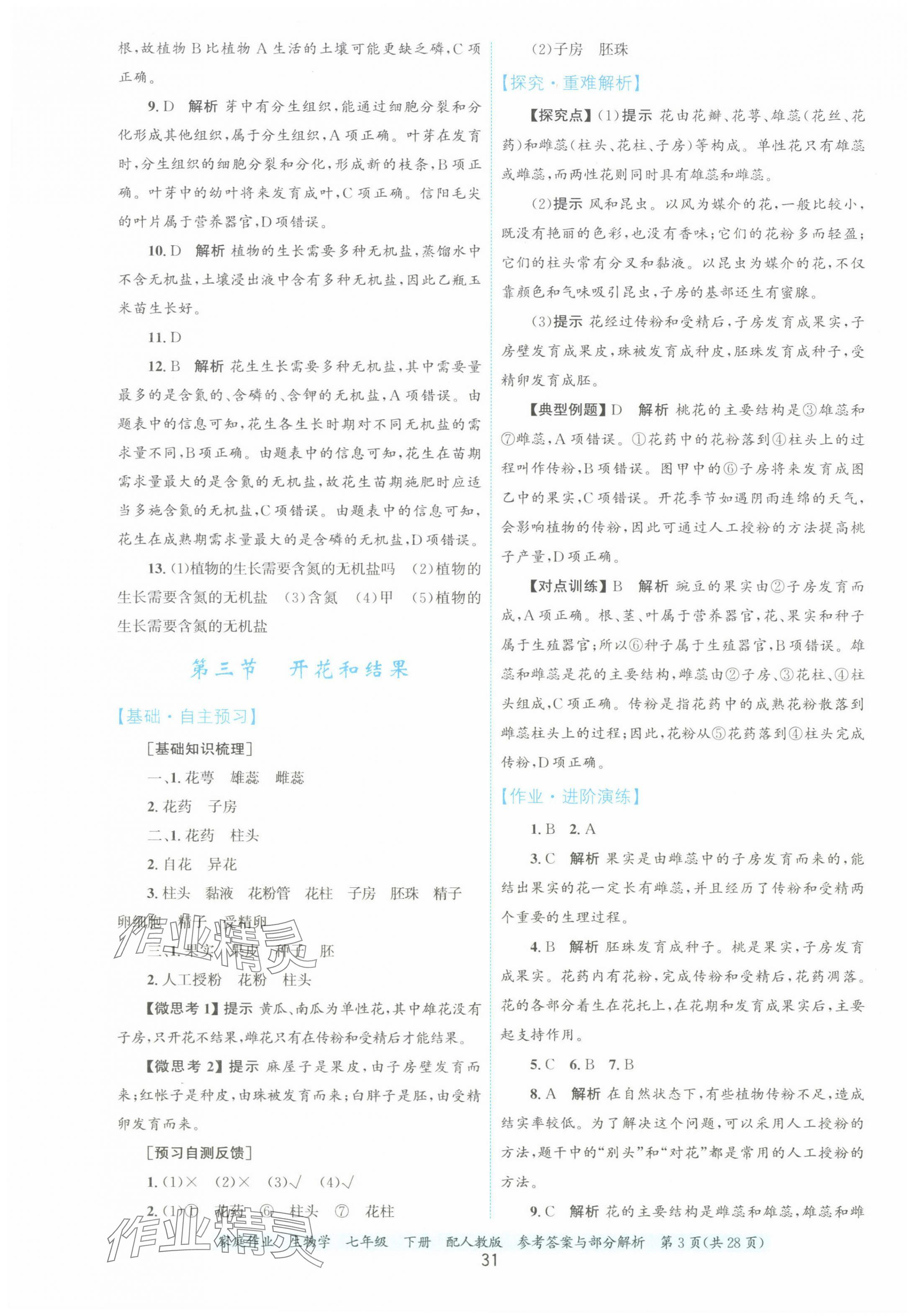 2025年家庭作业七年级生物下册人教版 第3页