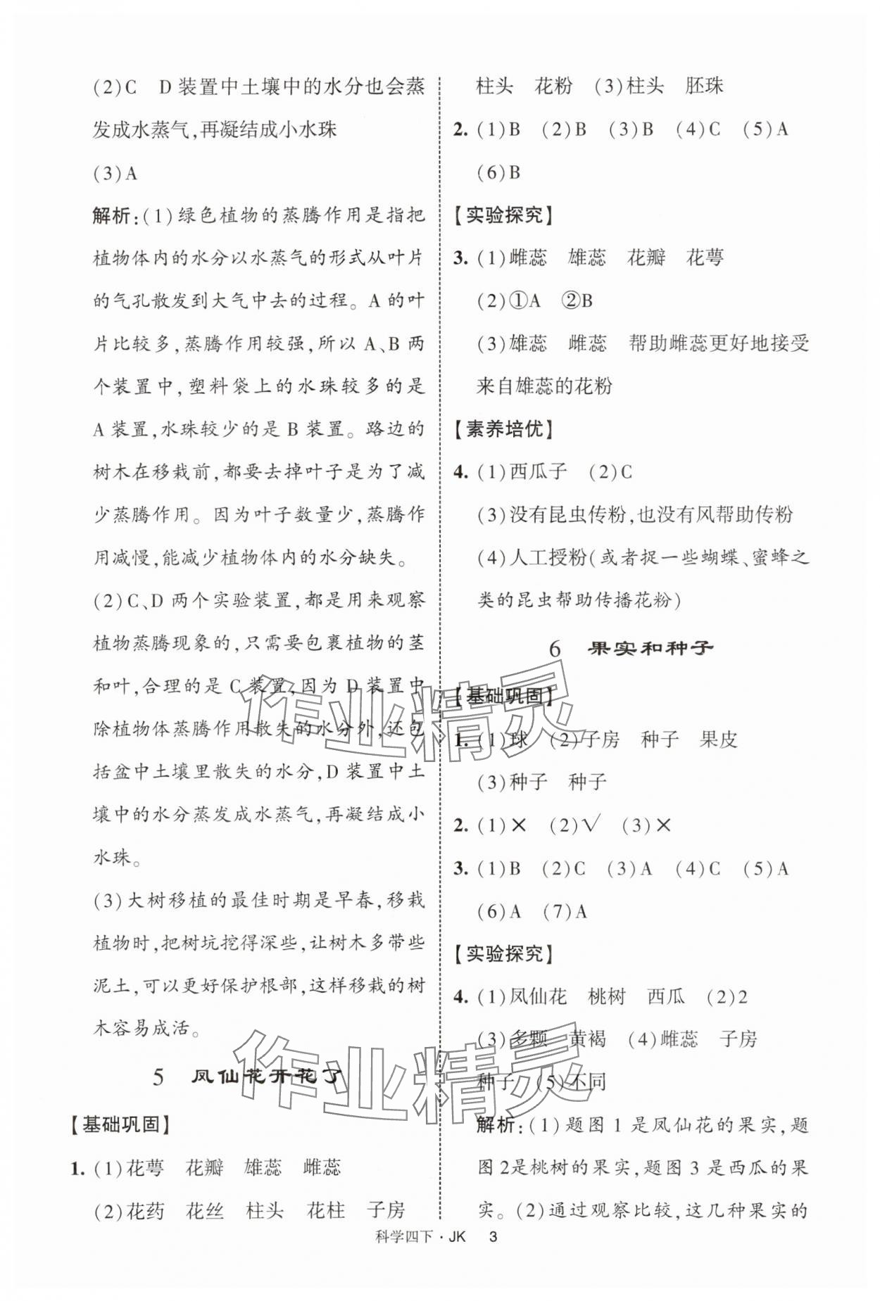 2025年經綸學典提高班四年級科學下冊教科版&nbsp;第3頁