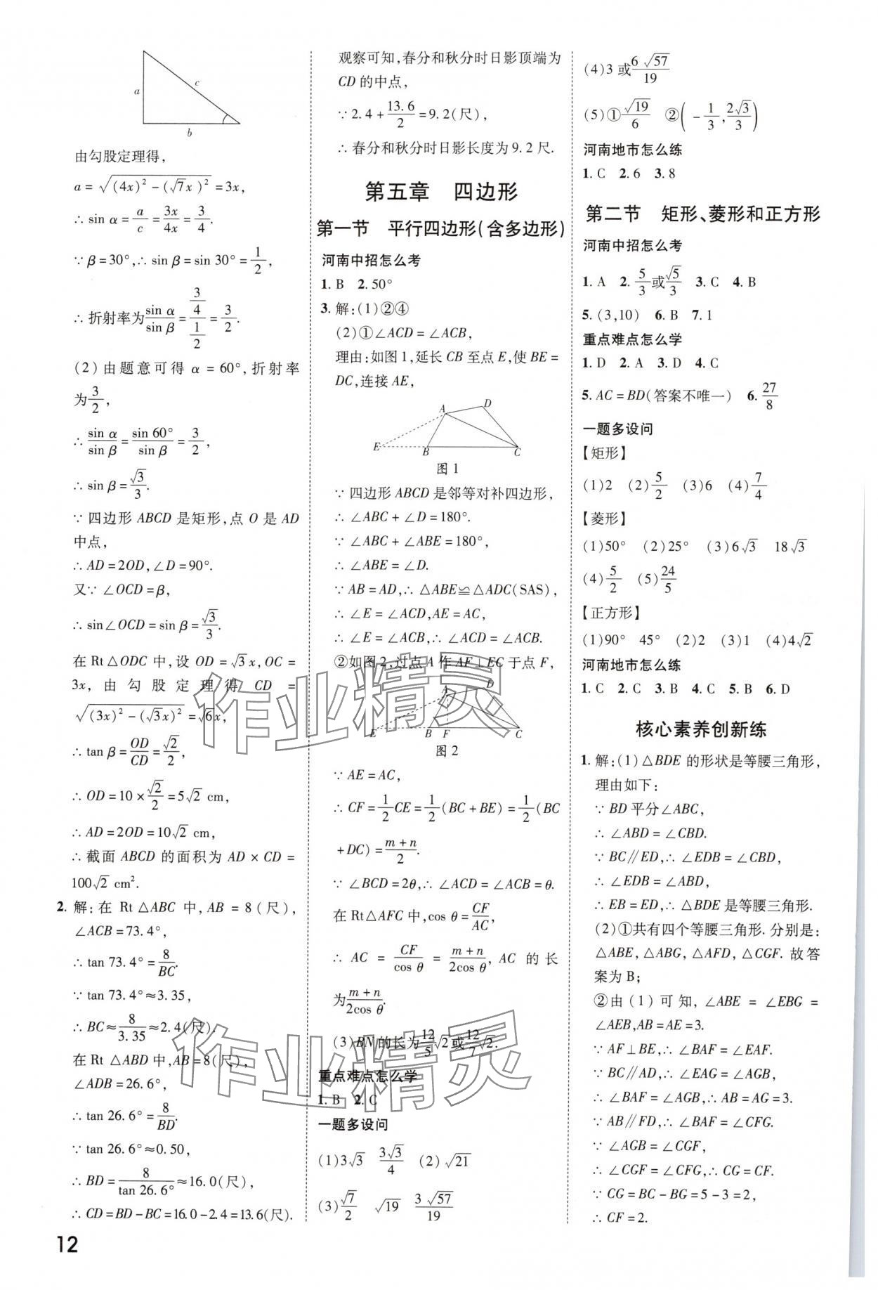 2025年領揚文化中考研究數(shù)學人教版河南專版 參考答案第11頁
