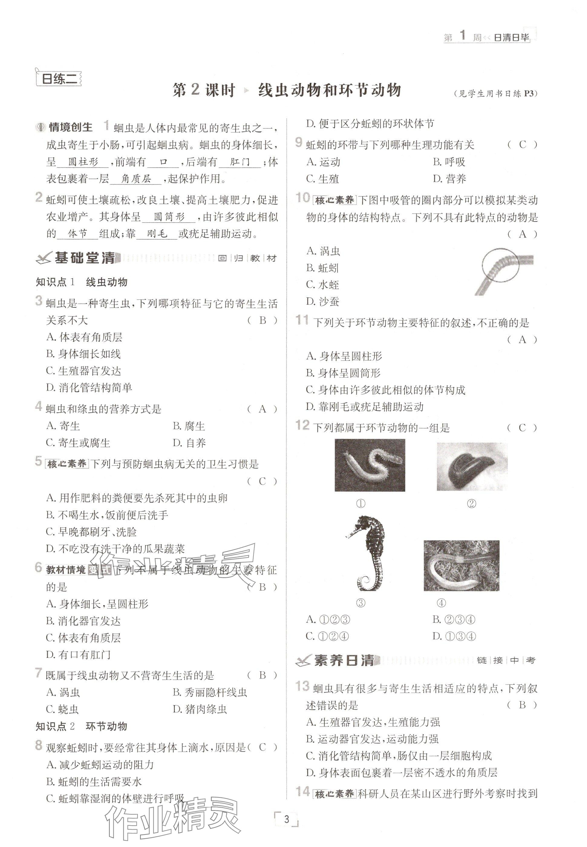 2024年日清周練八年級(jí)生物上冊(cè)人教版 參考答案第3頁(yè)