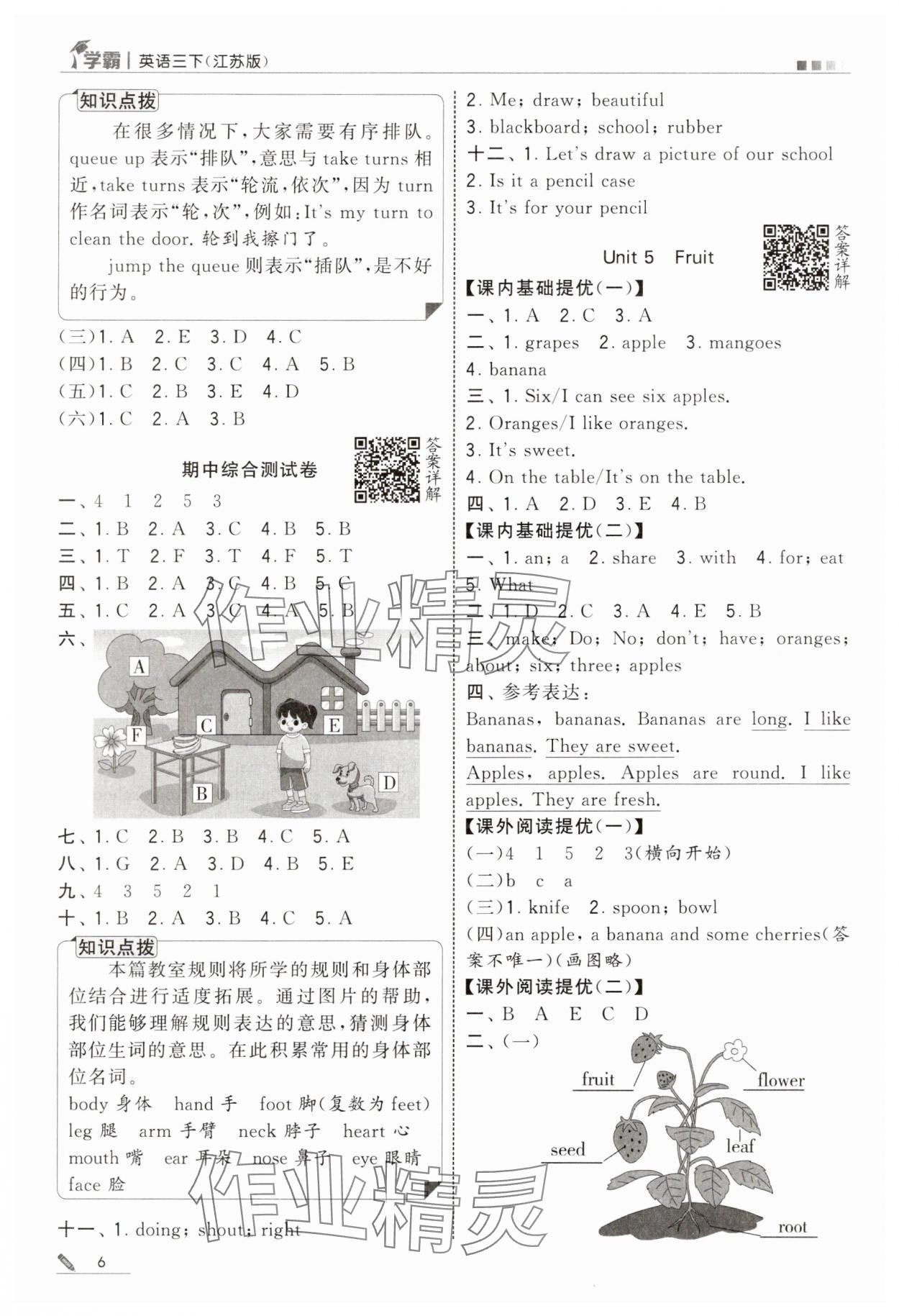 2025年學霸三年級英語下冊譯林版 參考答案第6頁