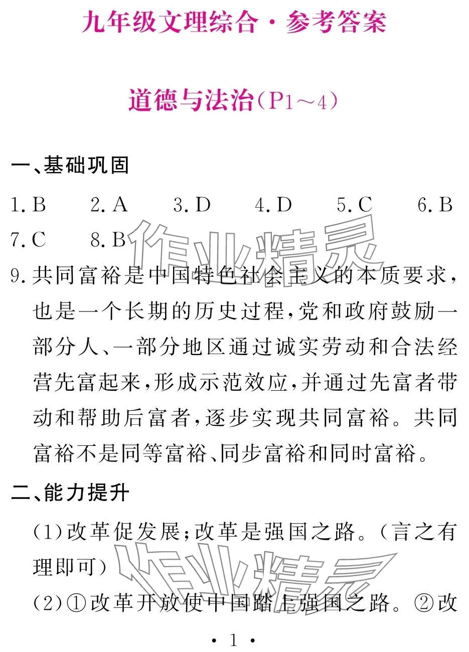 2024年天舟文化精彩寒假團(tuán)結(jié)出版社九年級綜合 第1頁