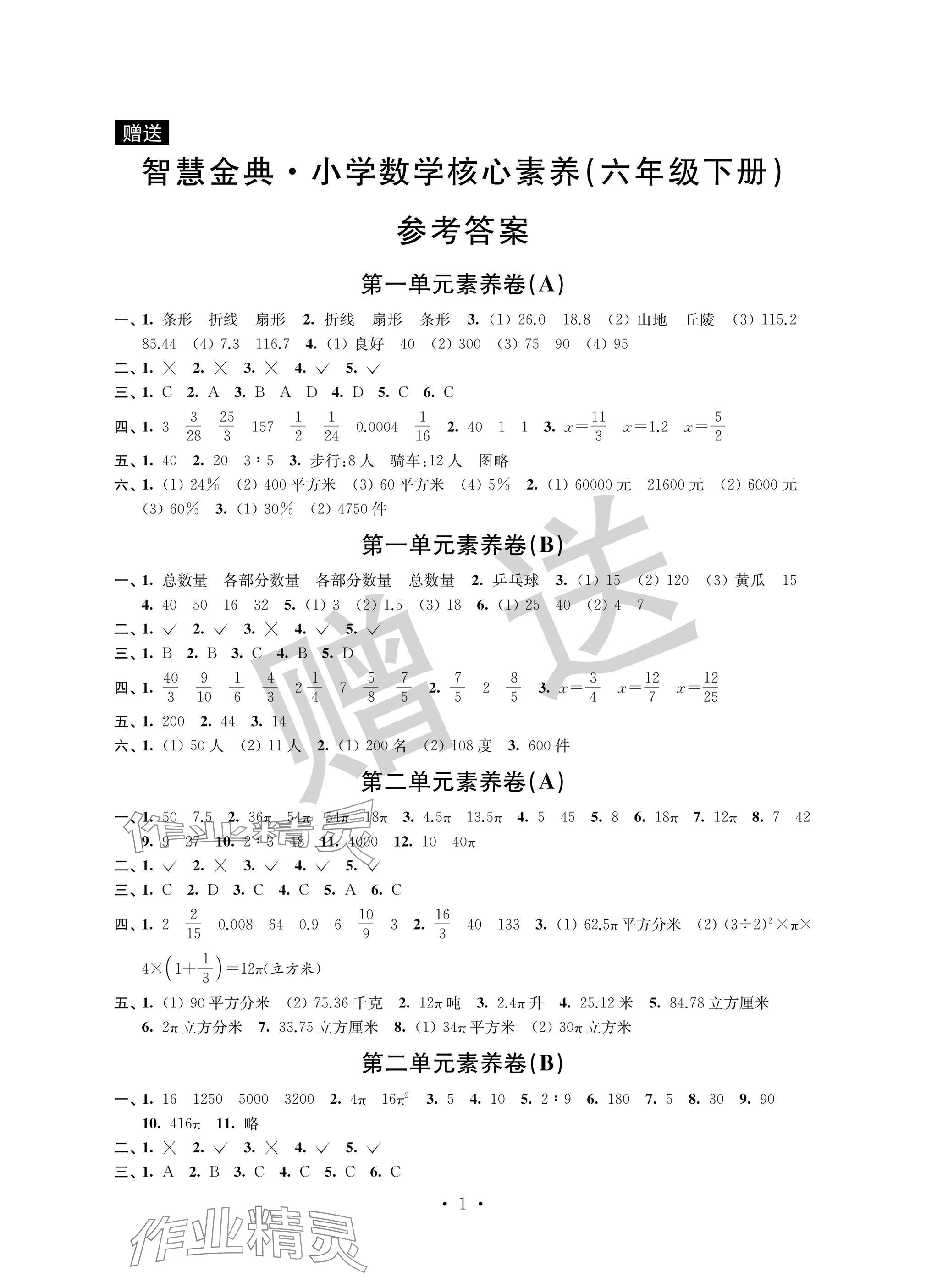 2025年智慧金典核心素養六年級數學下冊蘇教版 參考答案第1頁