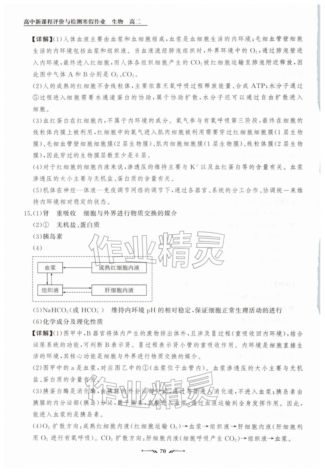 2026年高中新课程评价与检测寒假作业高二生物&nbsp;参考答案第4页